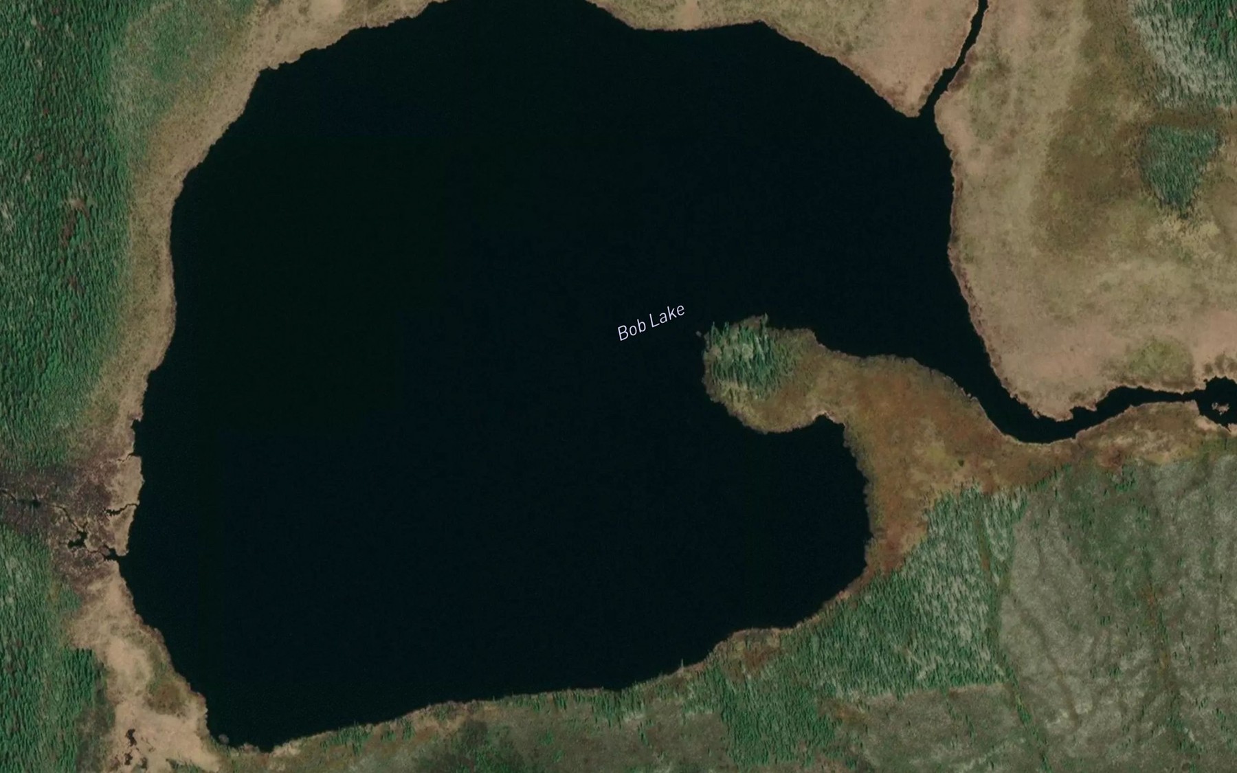 Satellite map of the Bob Lake