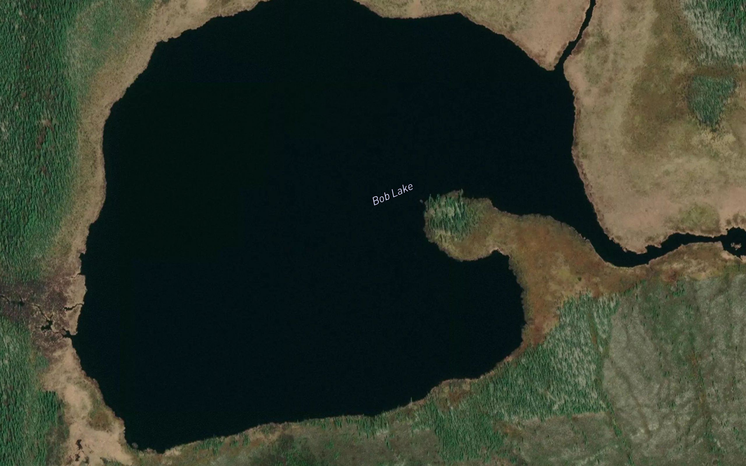 Bob Lake