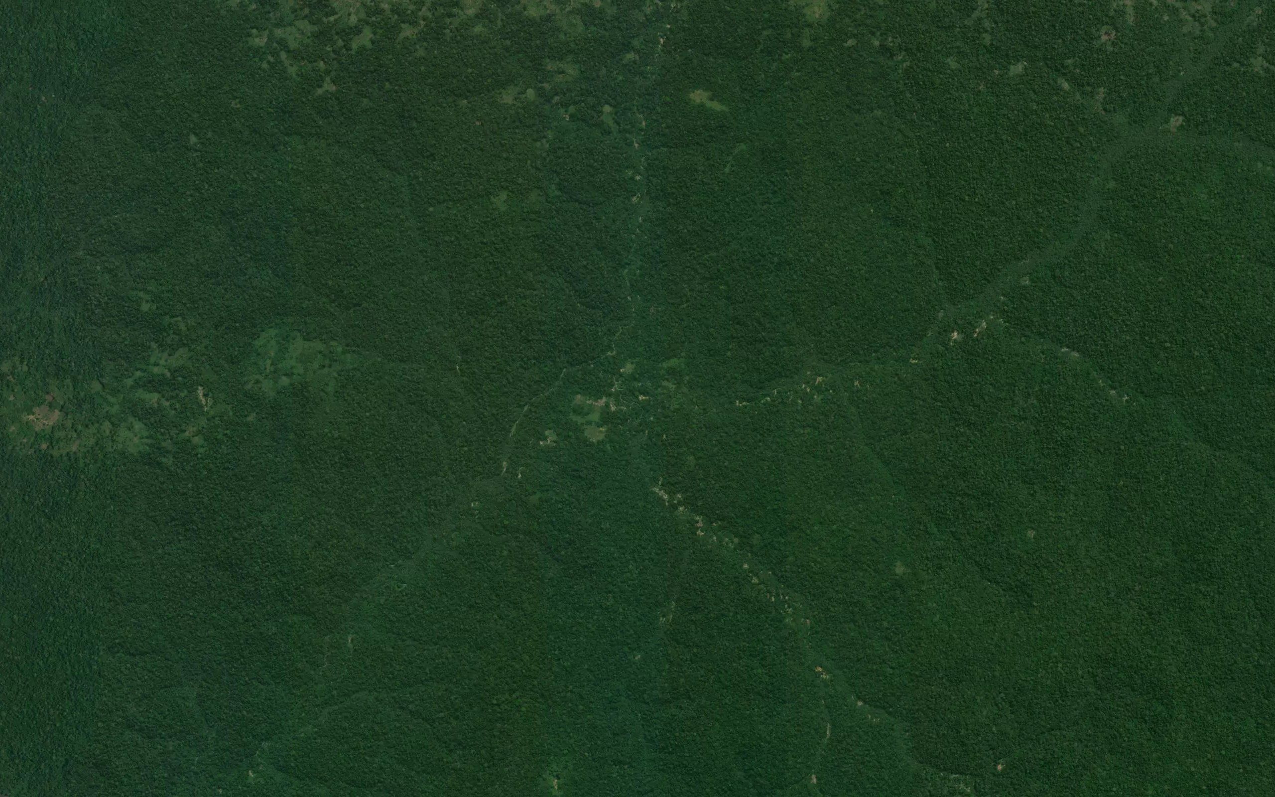 Mukungulu