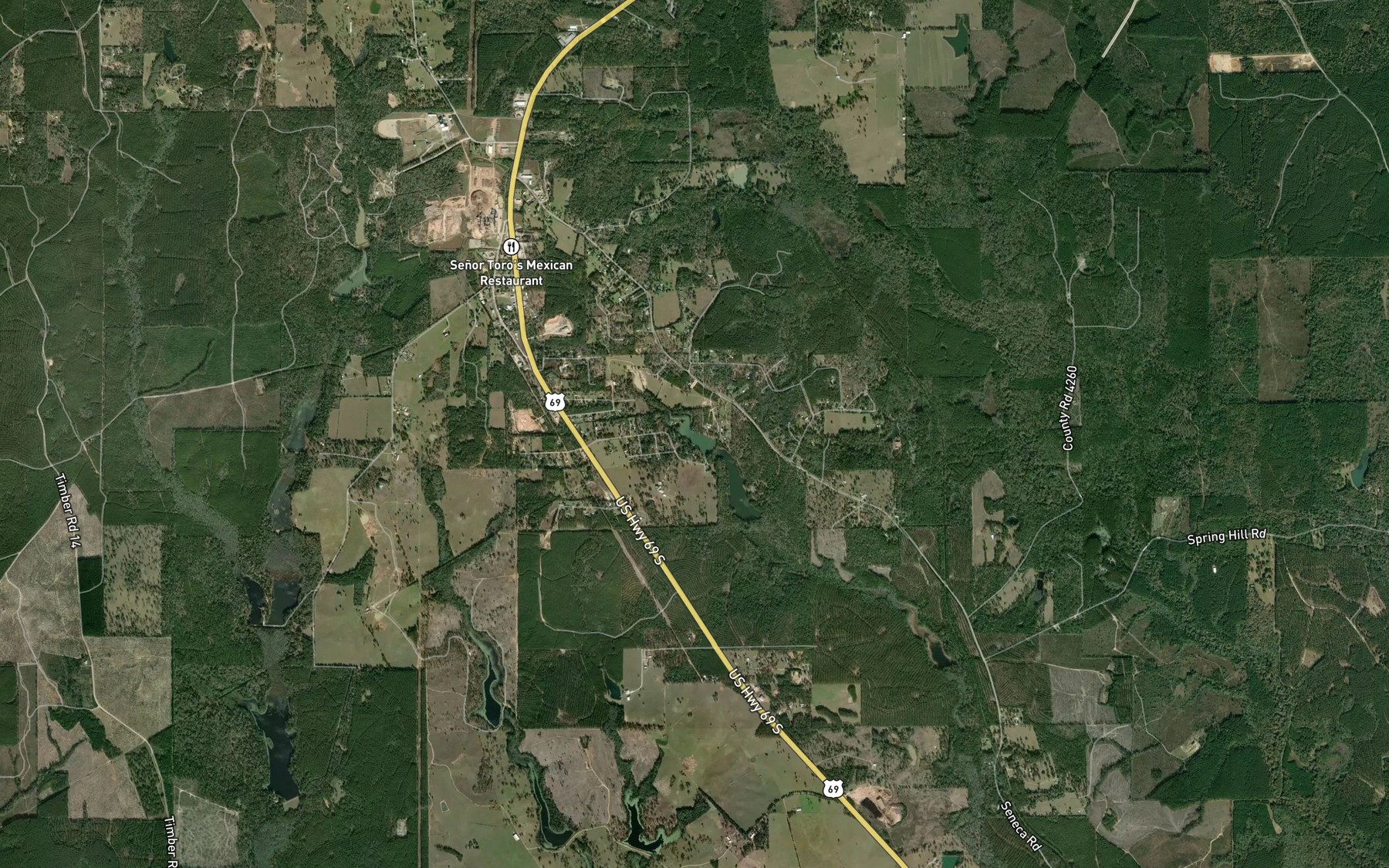 Satellite map of the Clemmons Lake