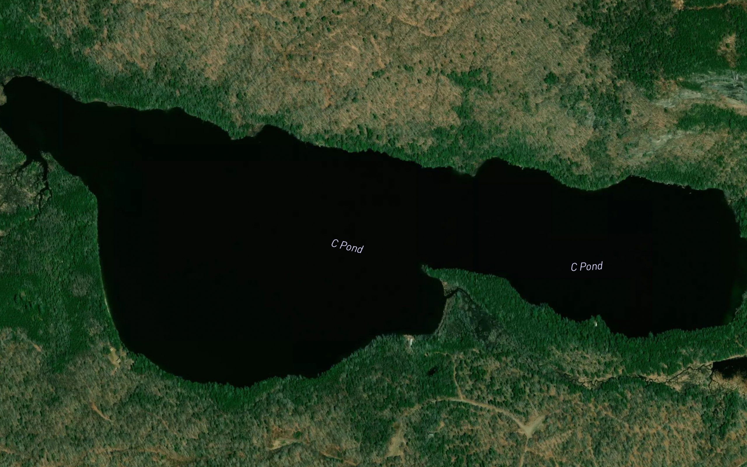 C Pond