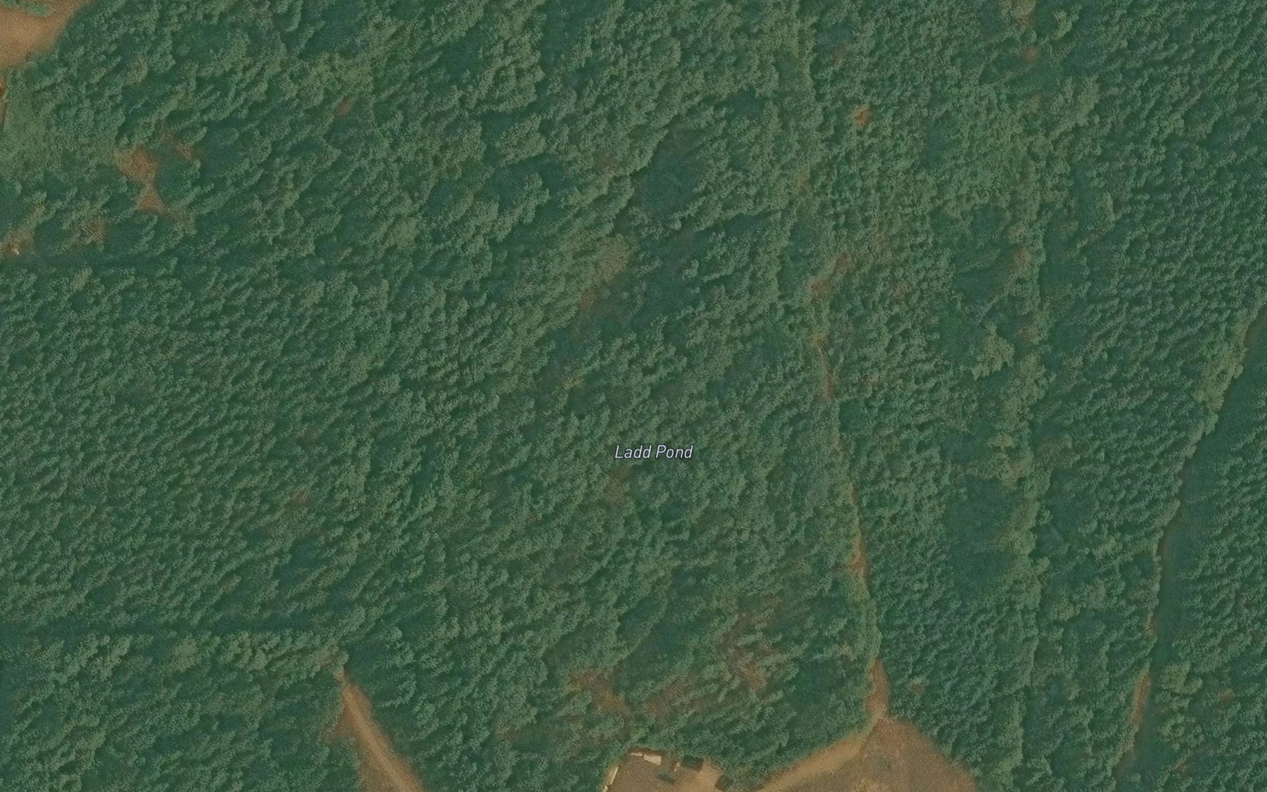 Satellite map of the Ladd Pond