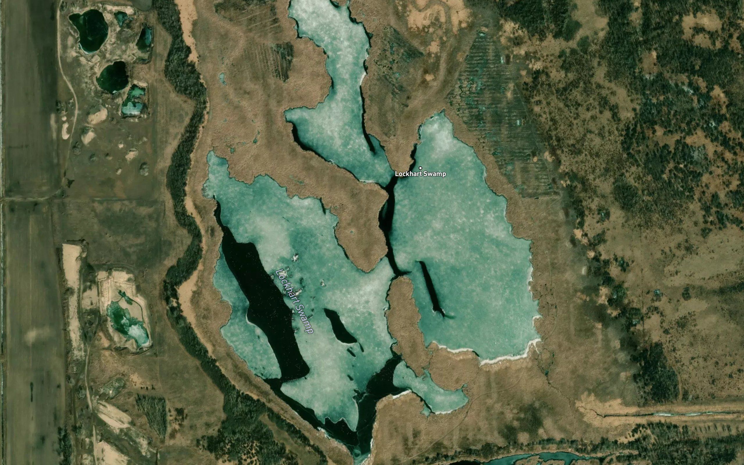 Lockhart Swamp