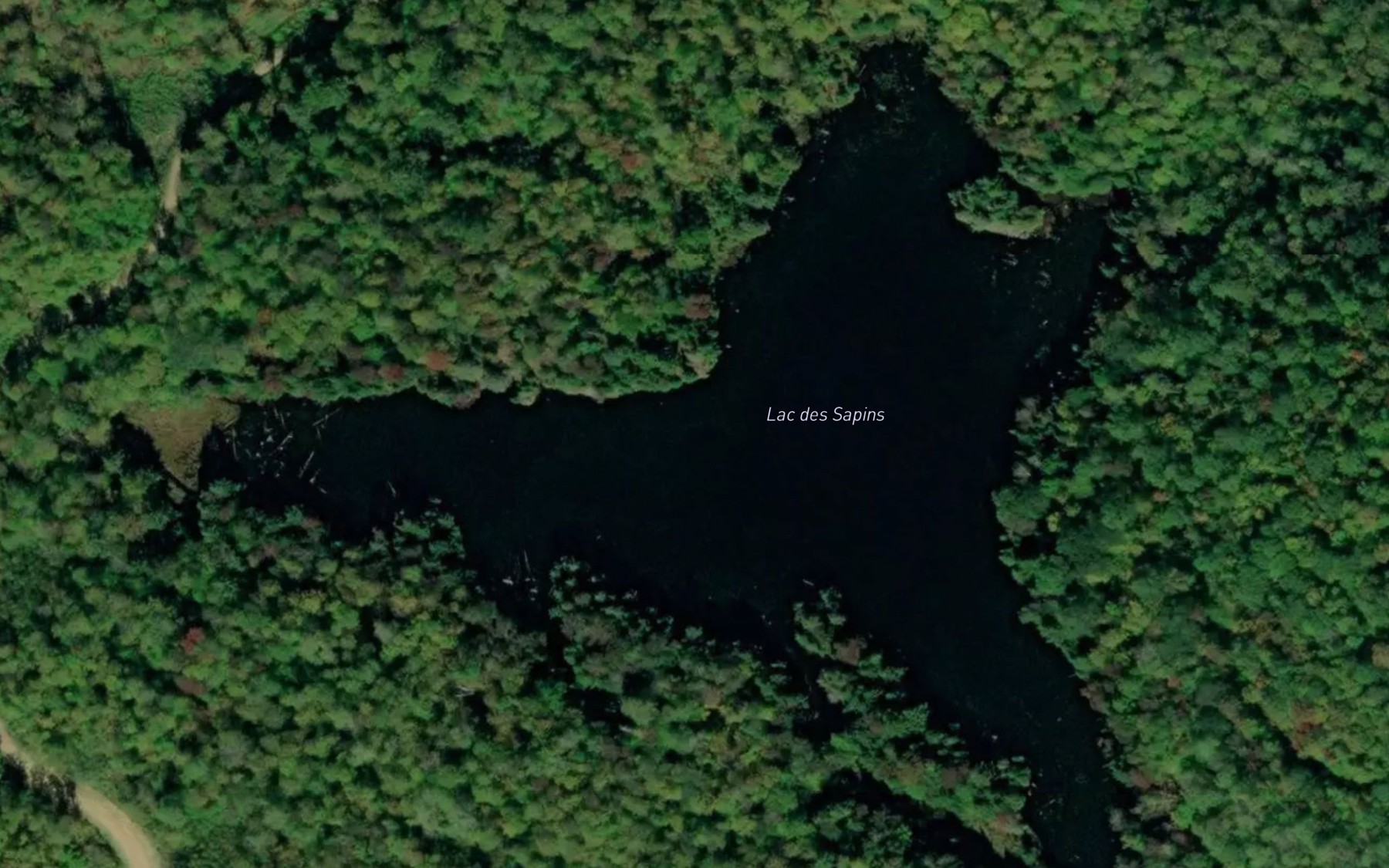 Satellite map of the Lac des Sapins
