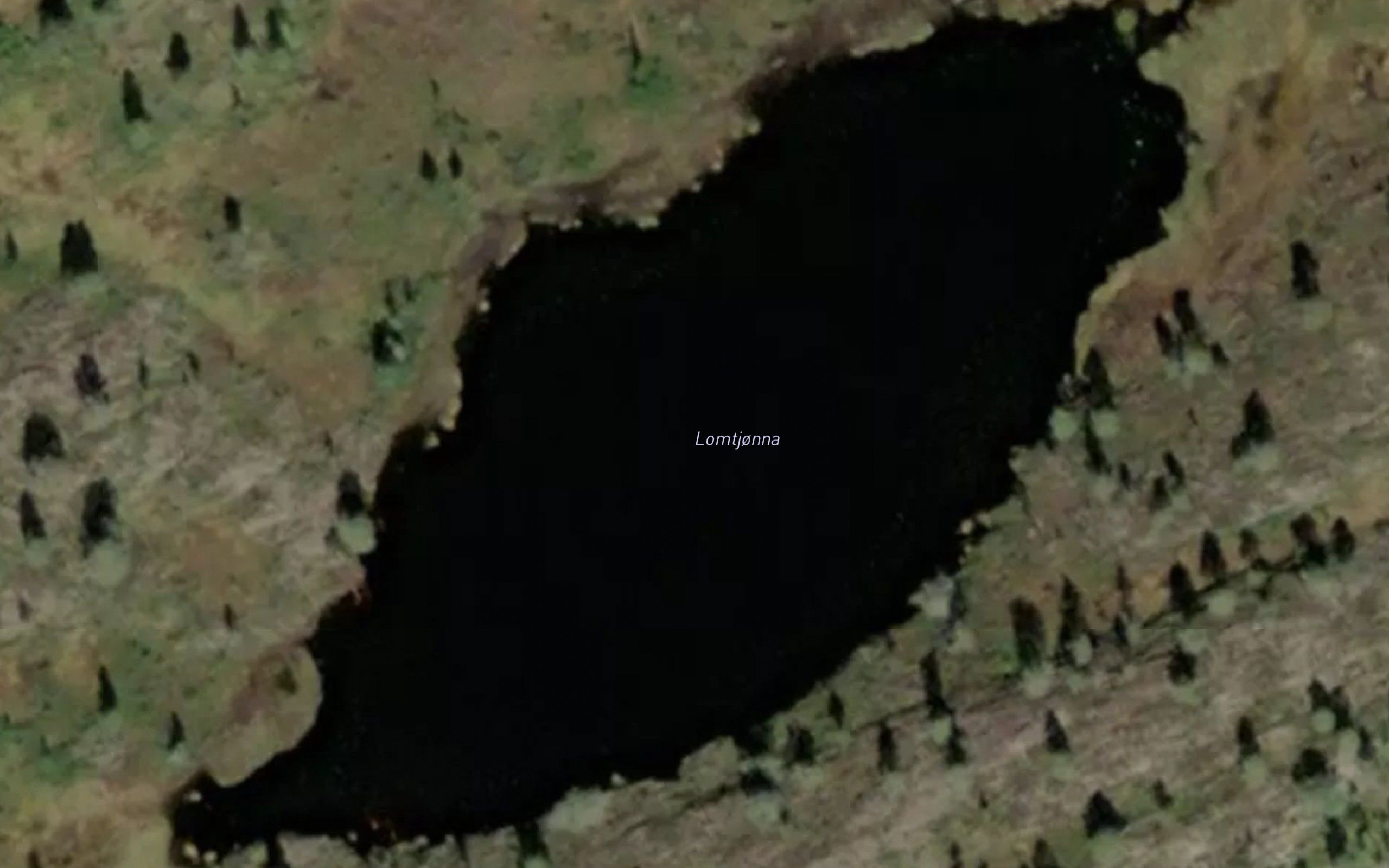 Lomtjonna