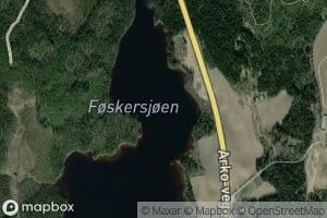 Frokensjoen