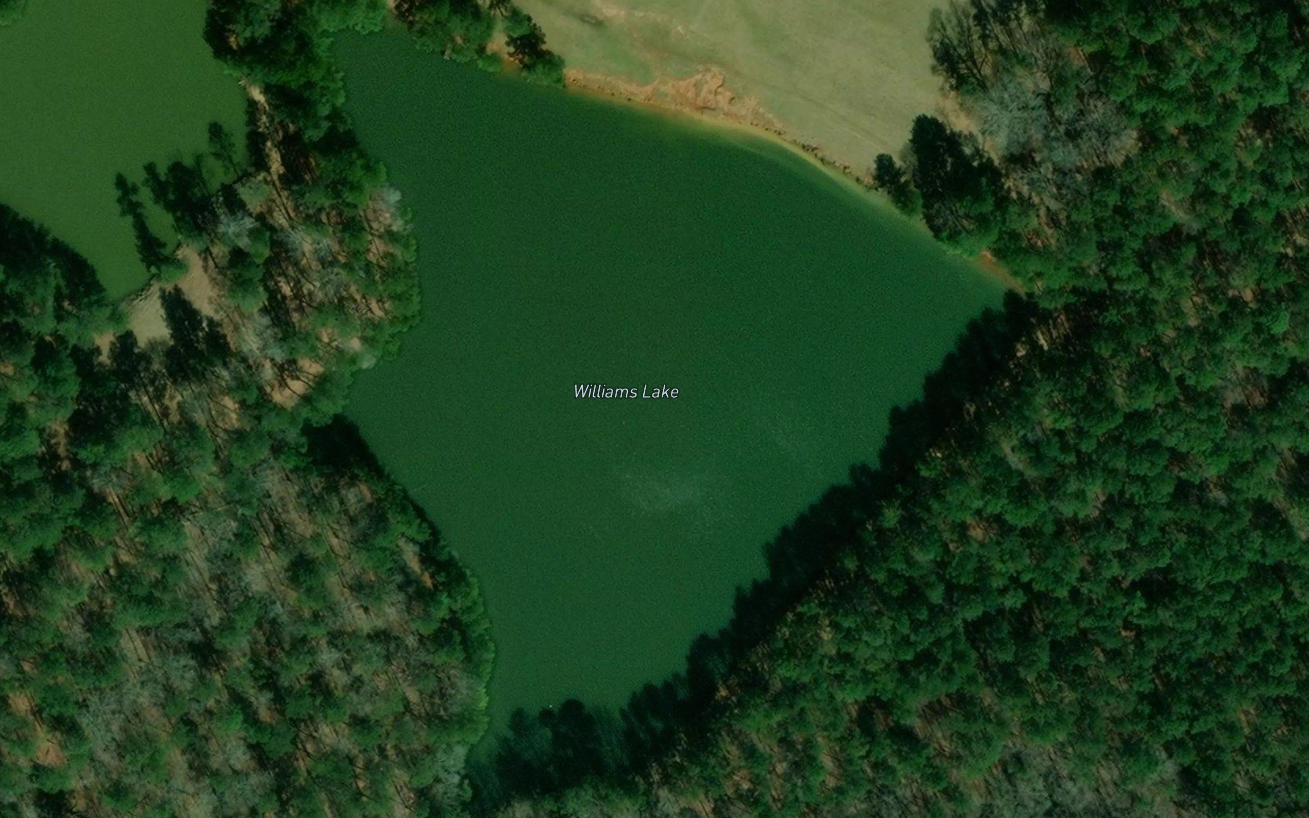 Williams Lake