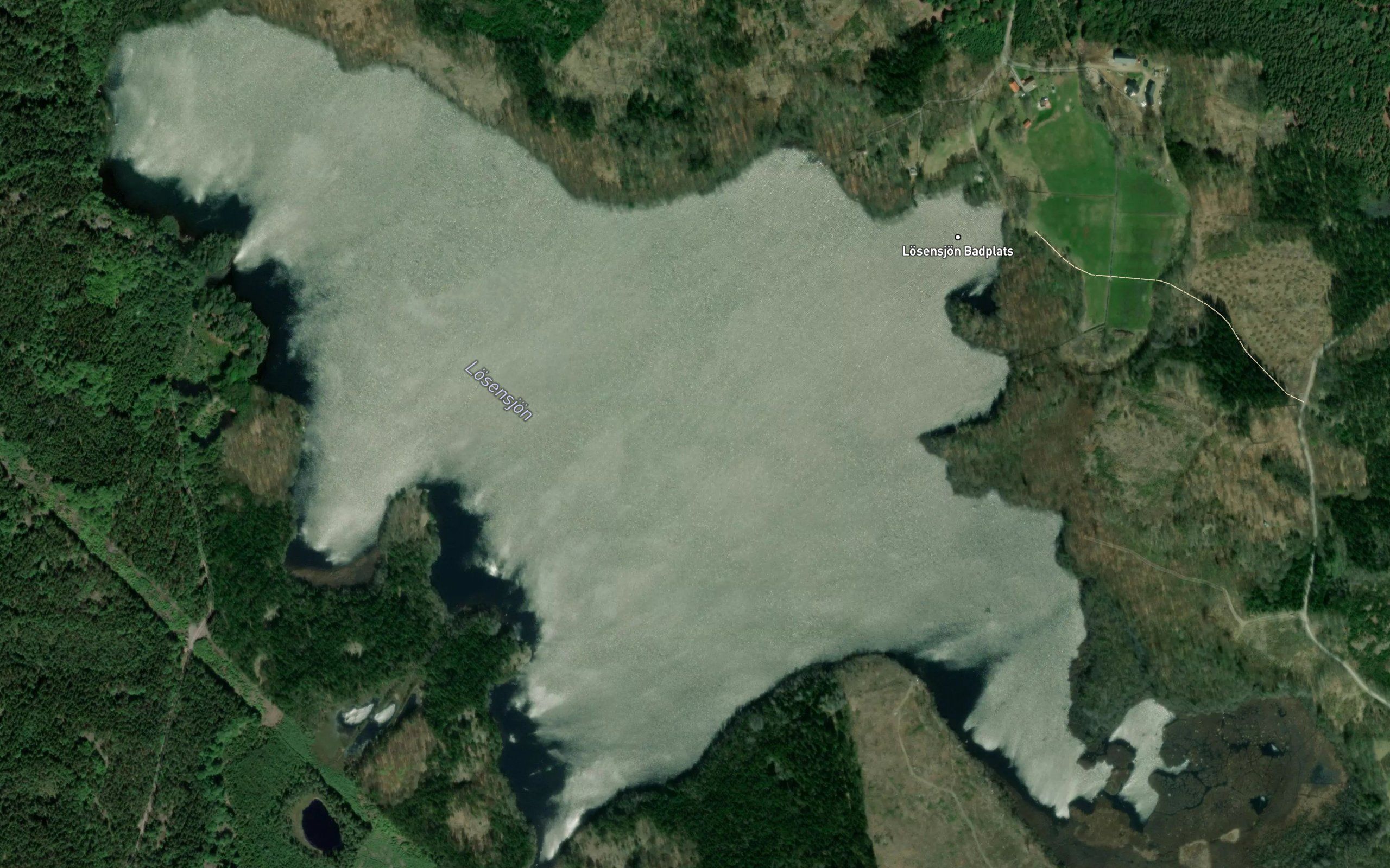 Loesensjoen