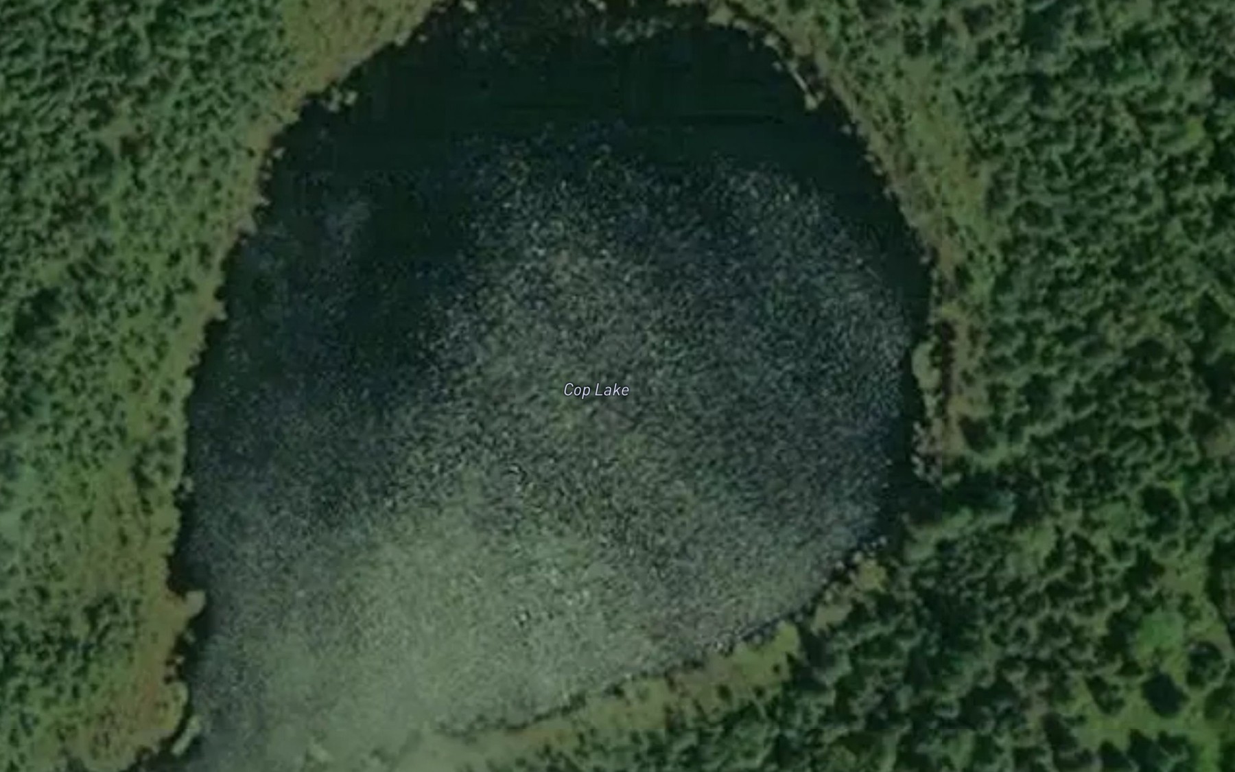 Satellite map of the Cop Lake