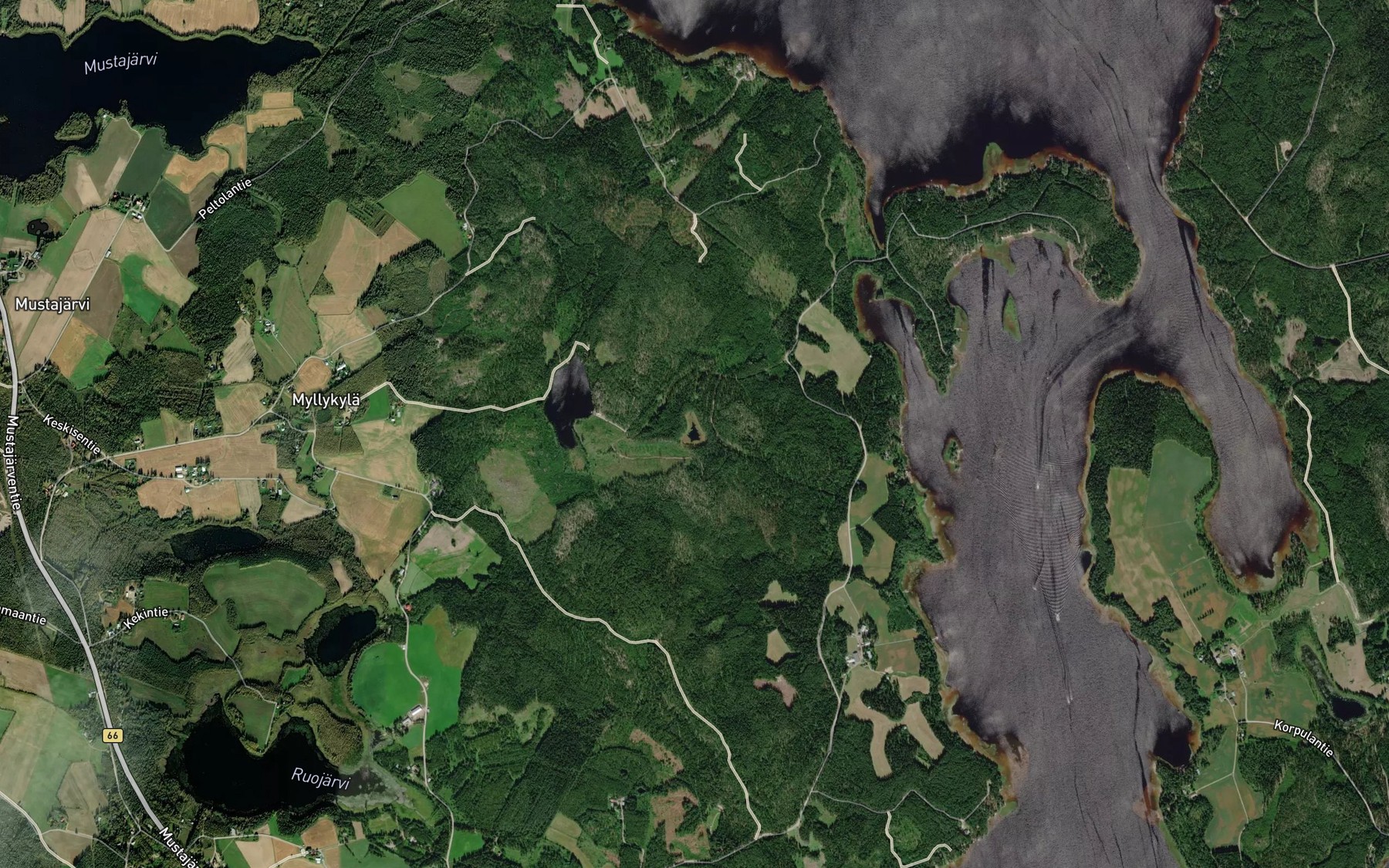 Satellite map of the Pikku Kiimajarvi