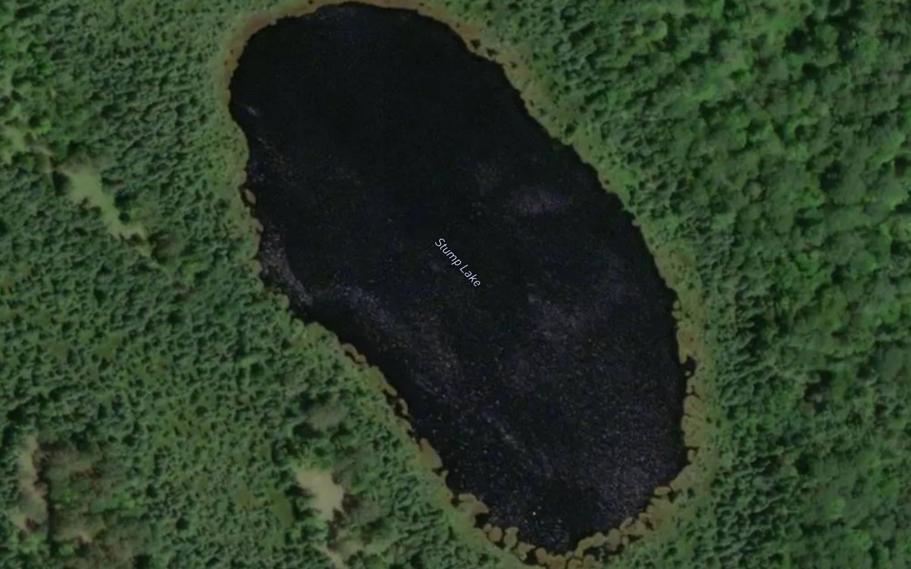 Satellite map of the Stump Lake
