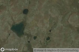 Critchell-Bullock Arm