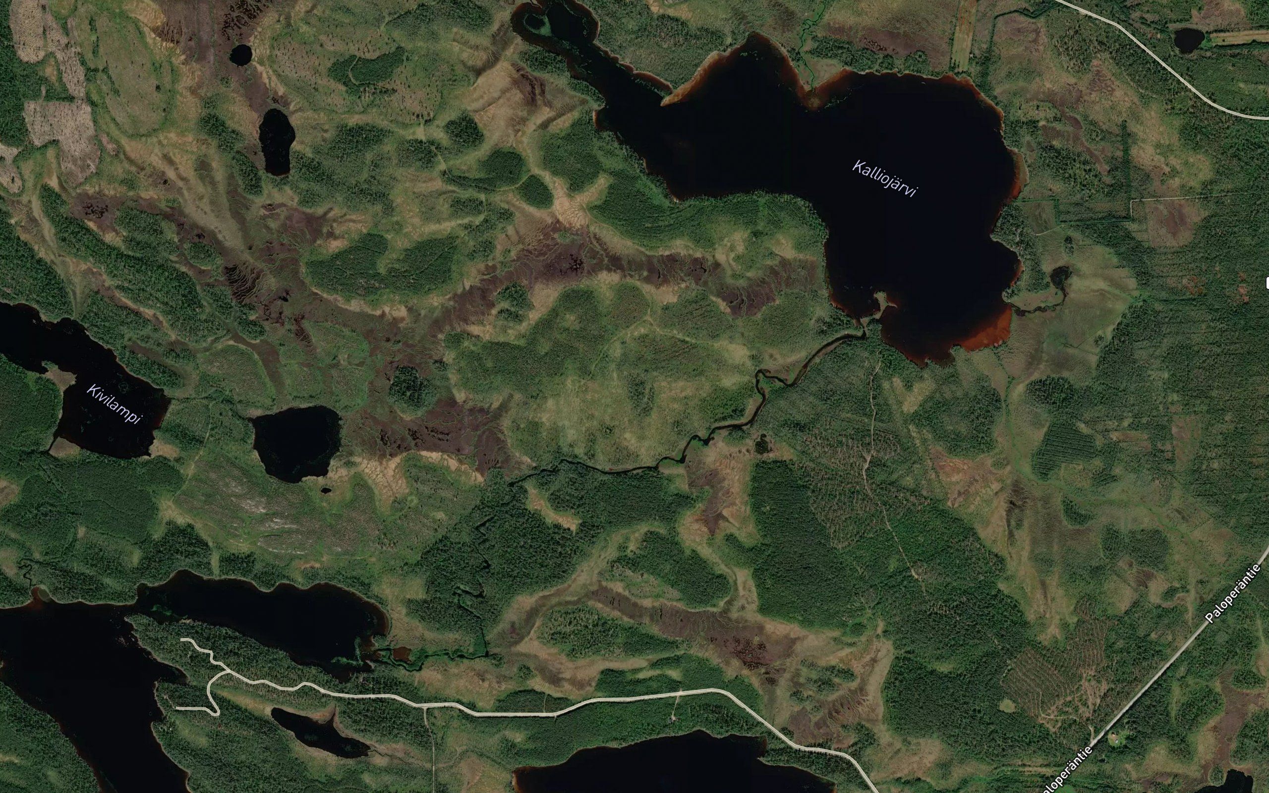 Kalliojarvi