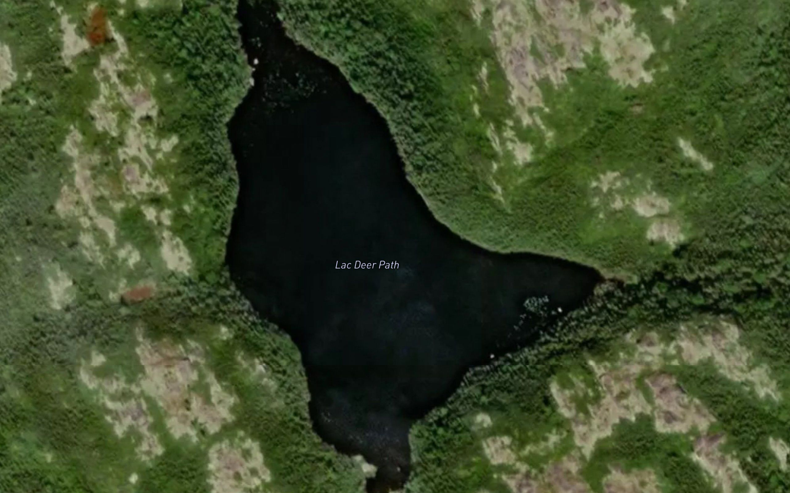 Lac Deer Path