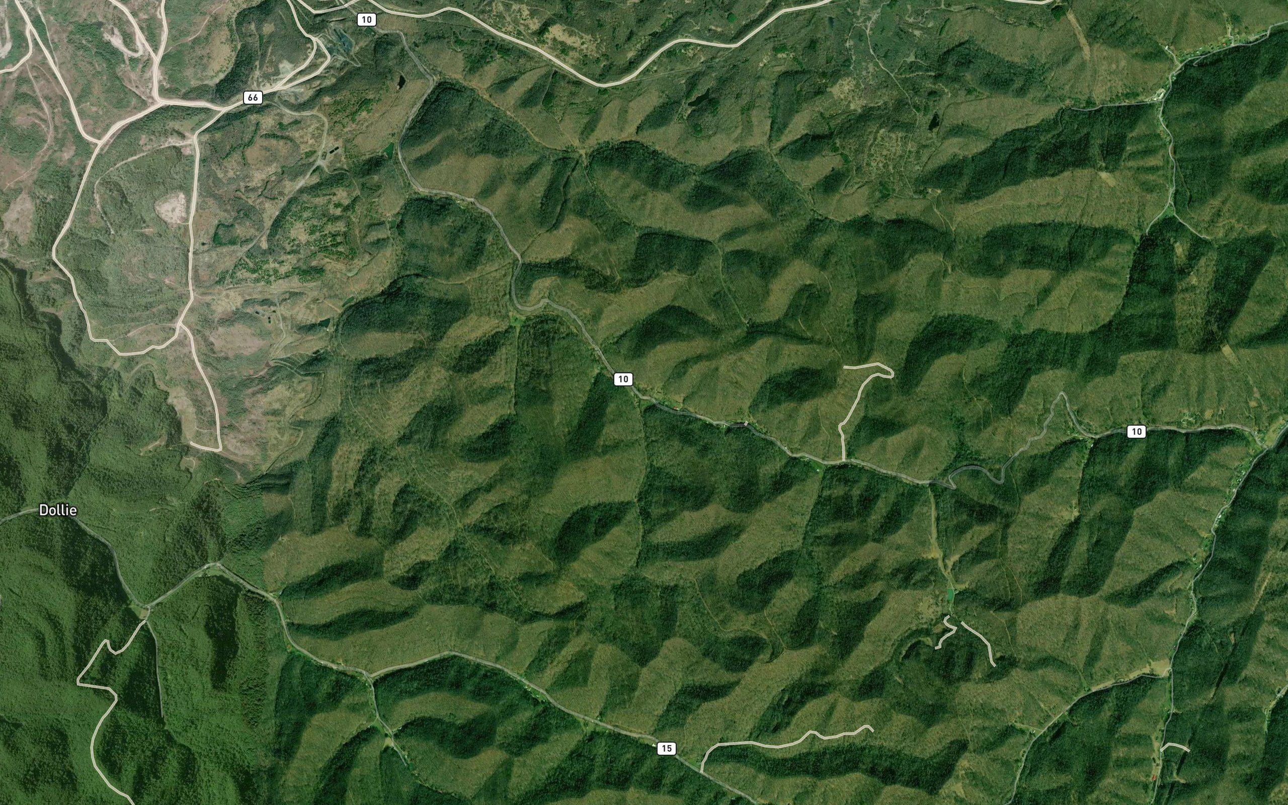 Rushpatch Branch