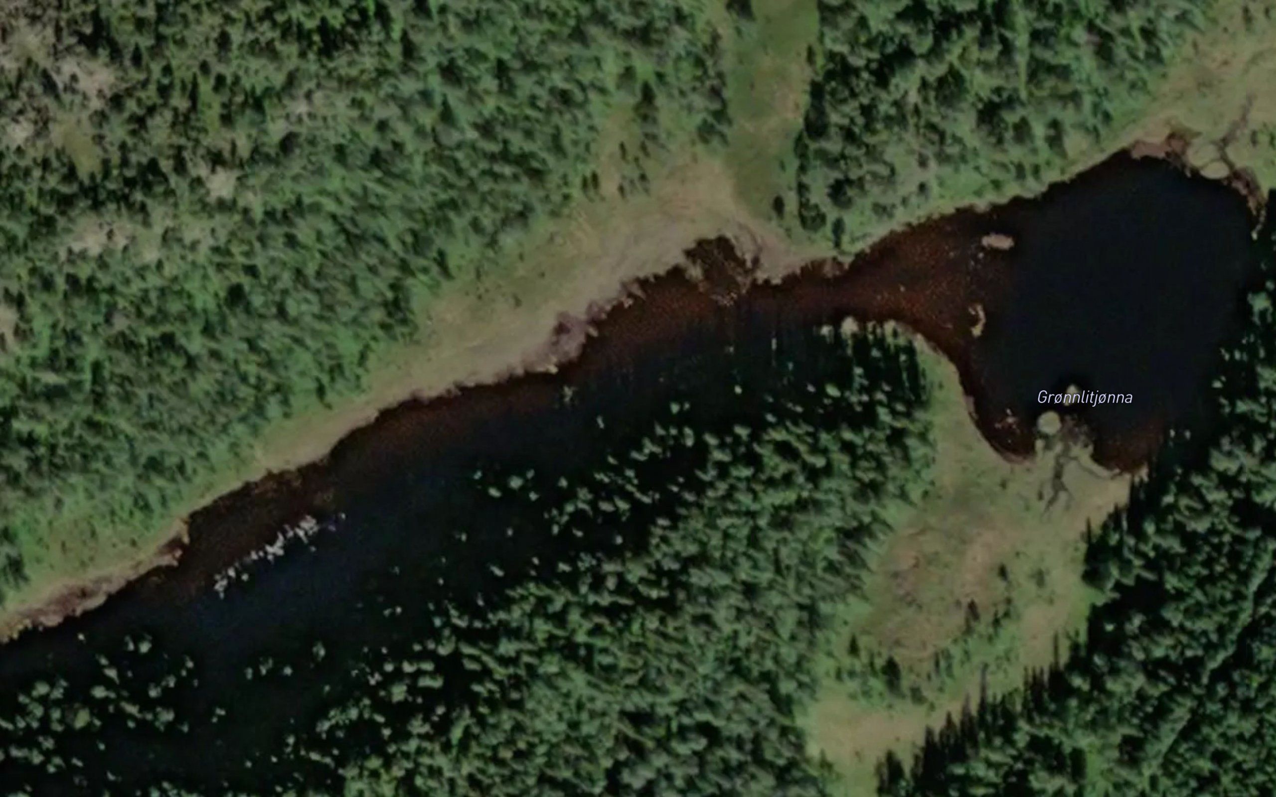 Gronnlitjonna