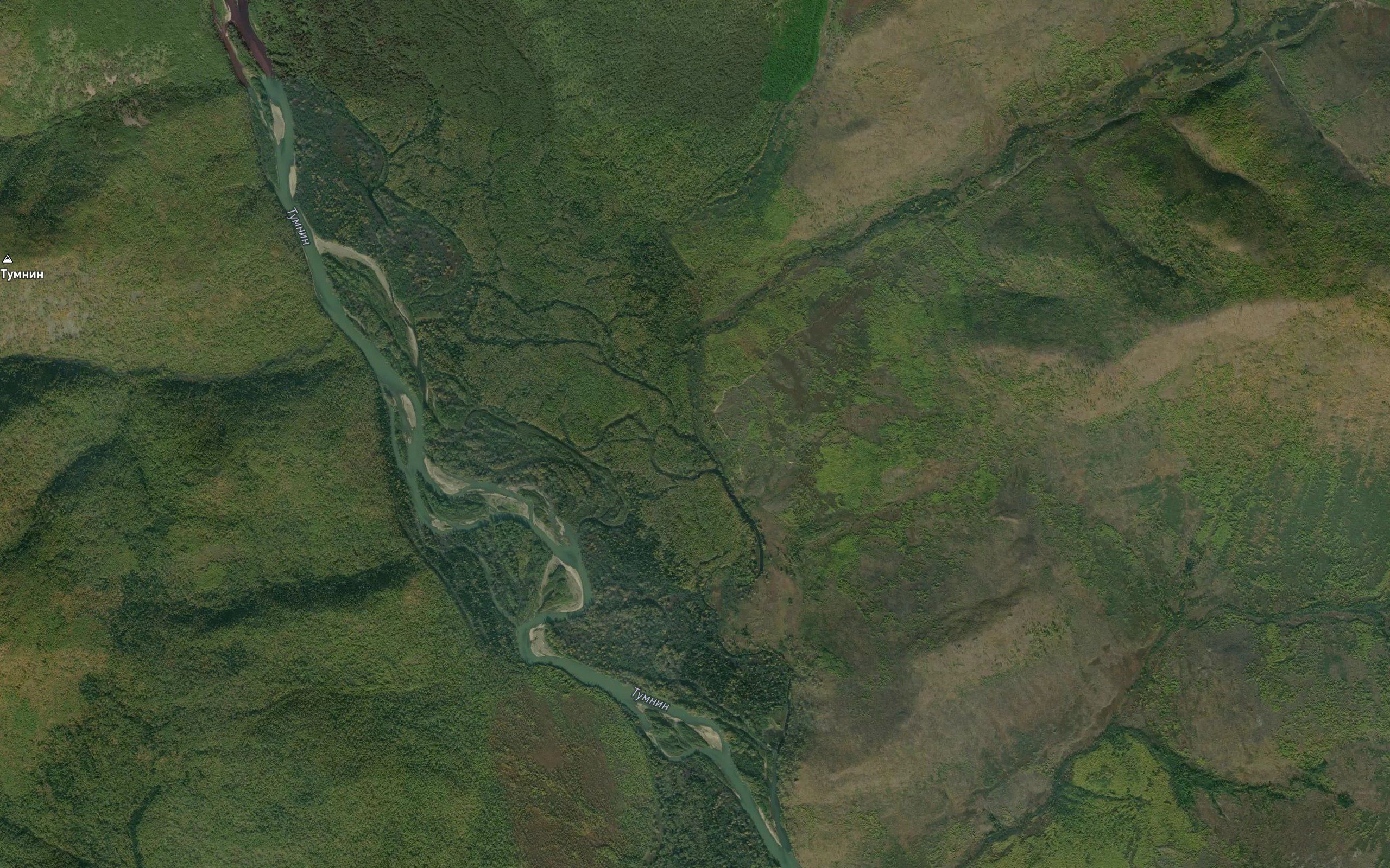 Losinaya