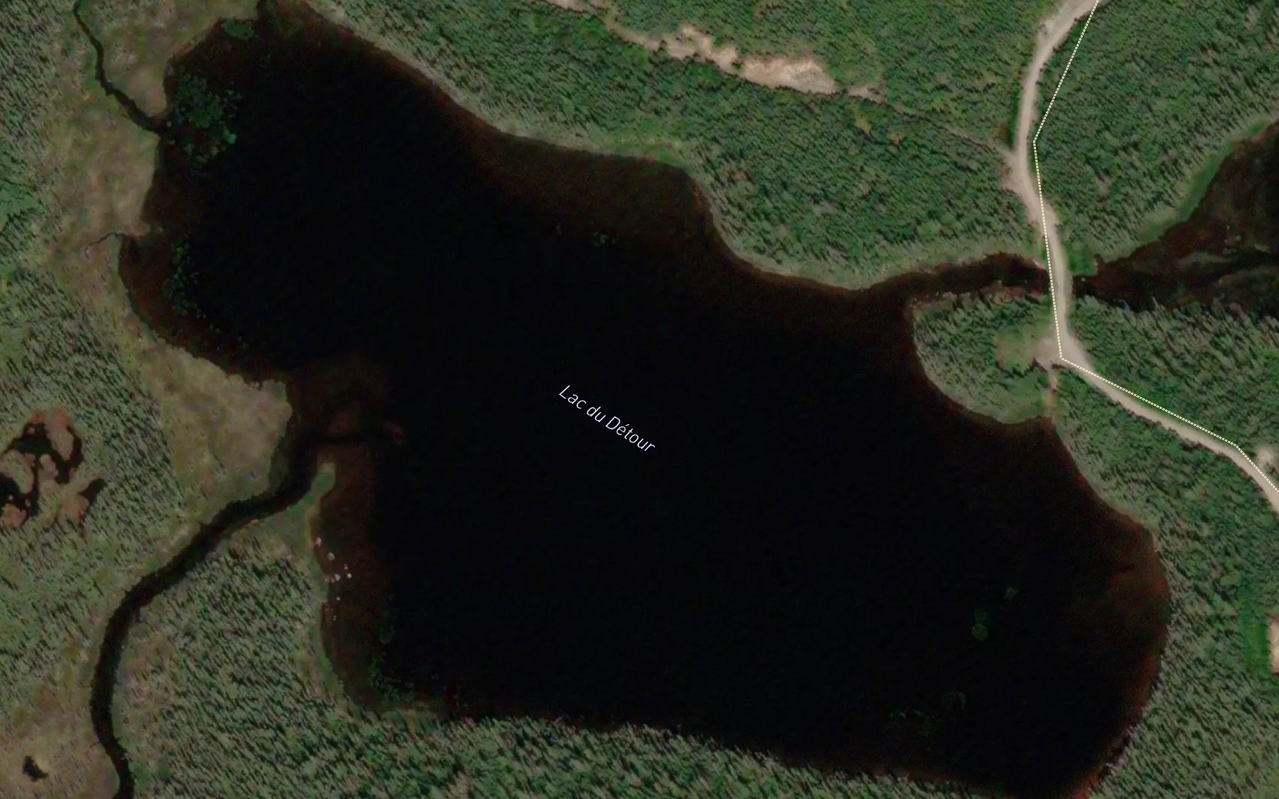 Satellite map of the Lac du Detour
