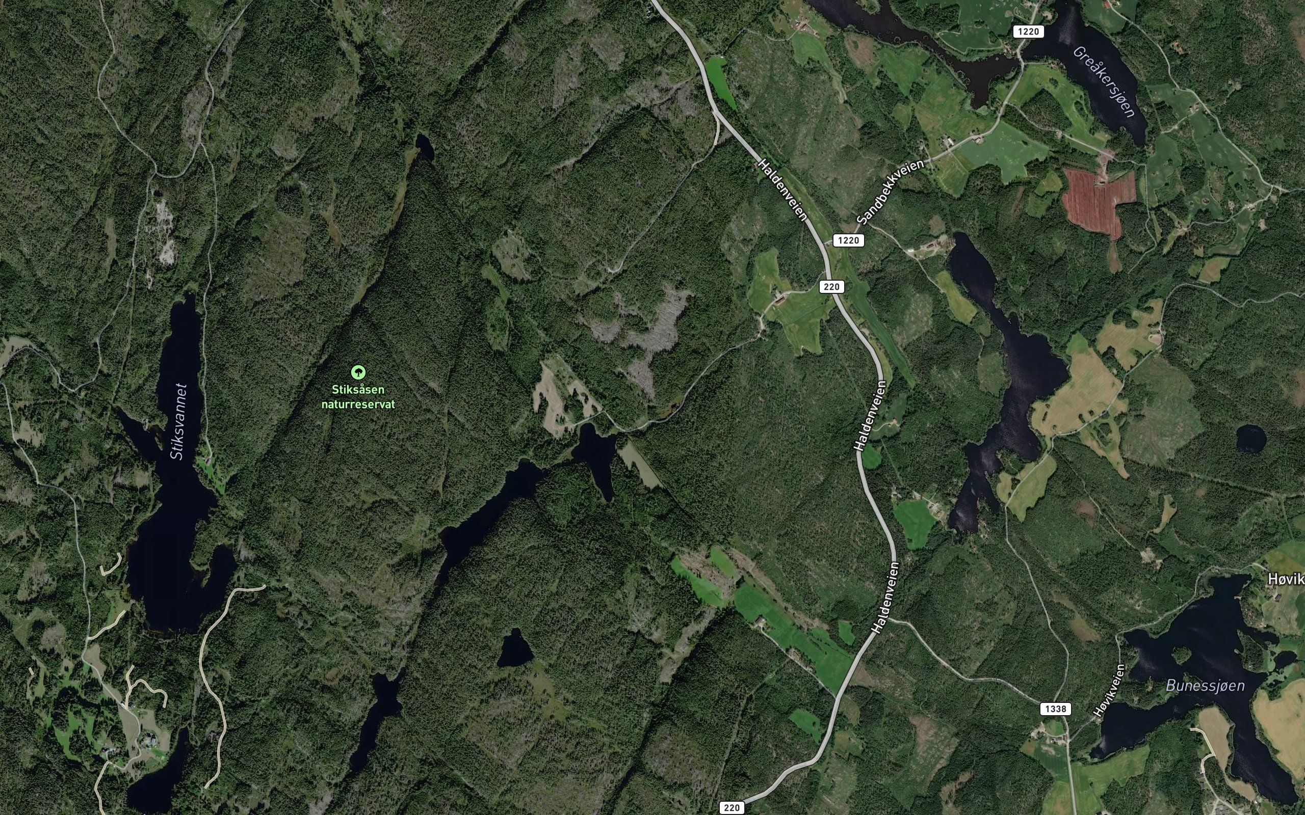Svanetjern