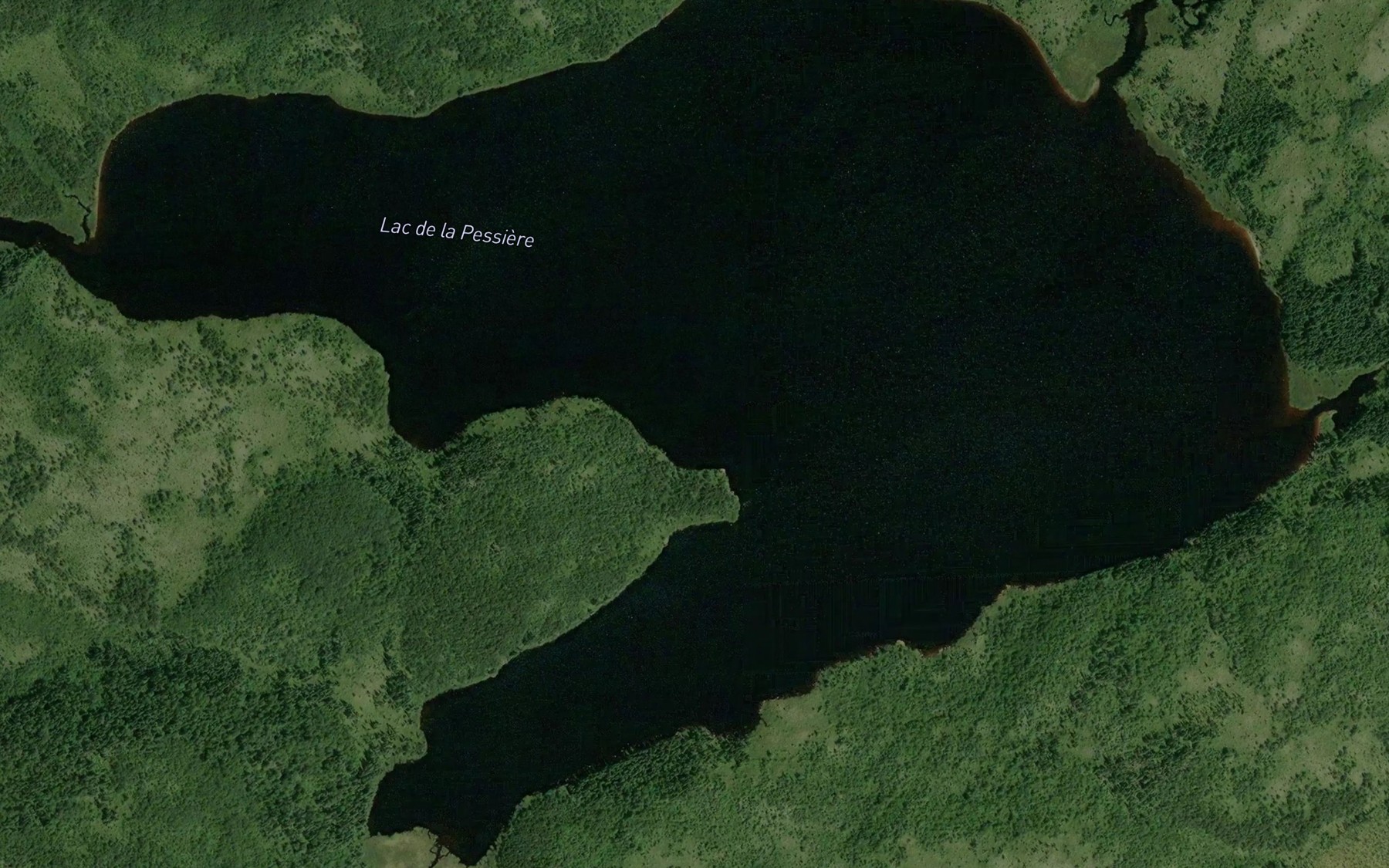 Satellite map of the Lac de la Pessiere