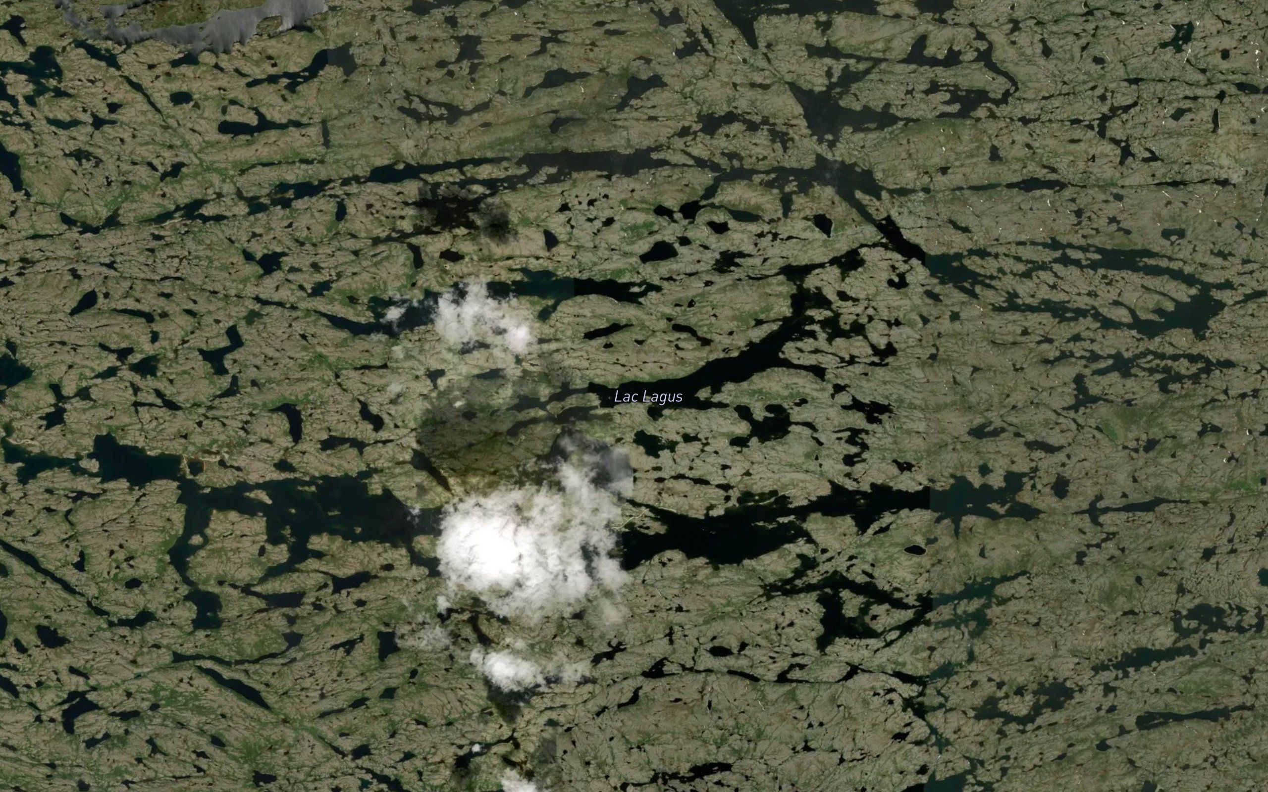 Lac Lagus