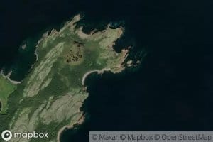 Rosemary Cove