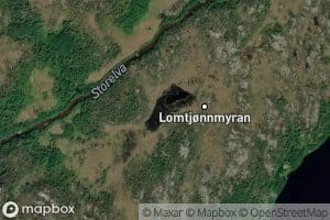 Lomtjorna