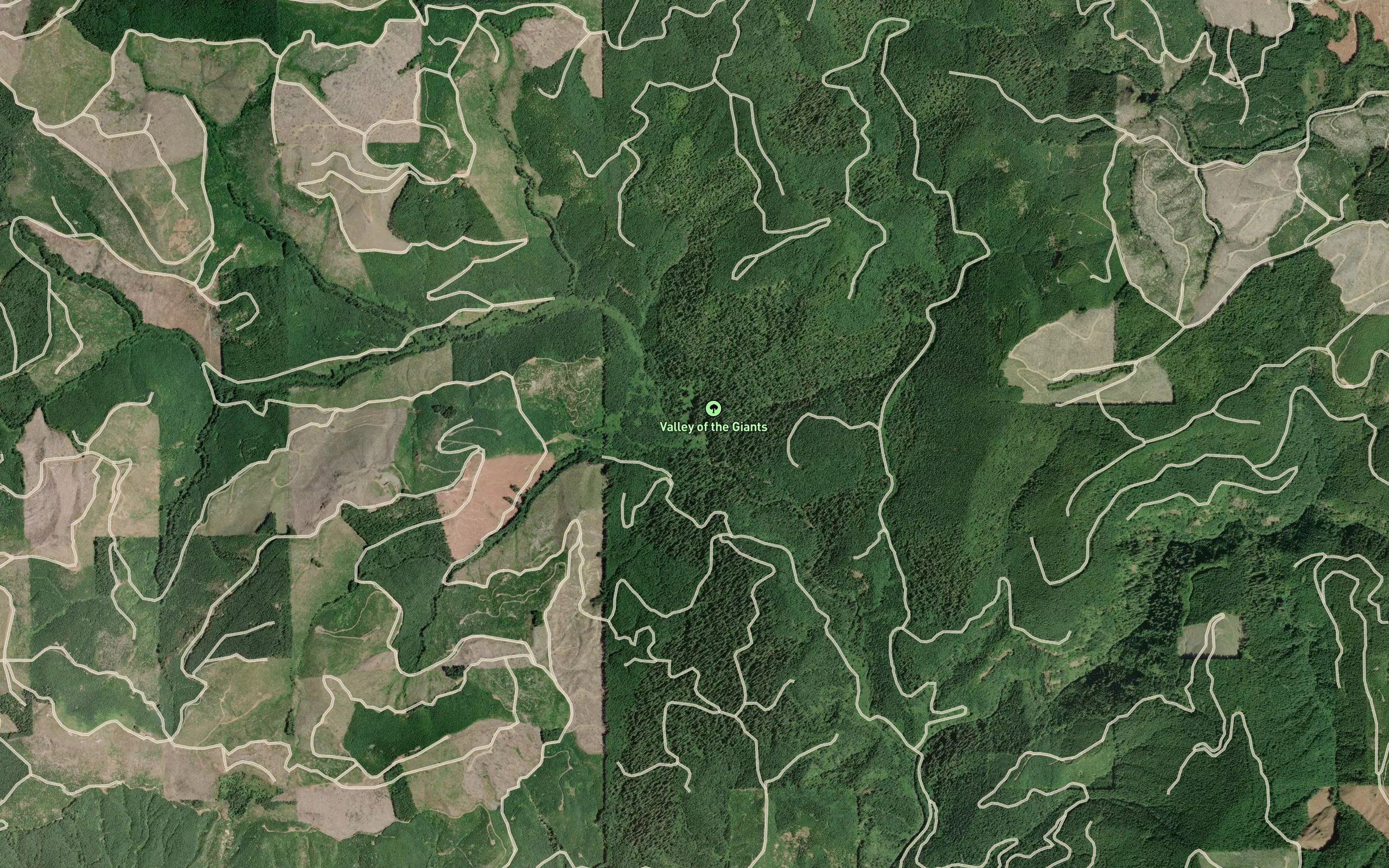Carter Creek