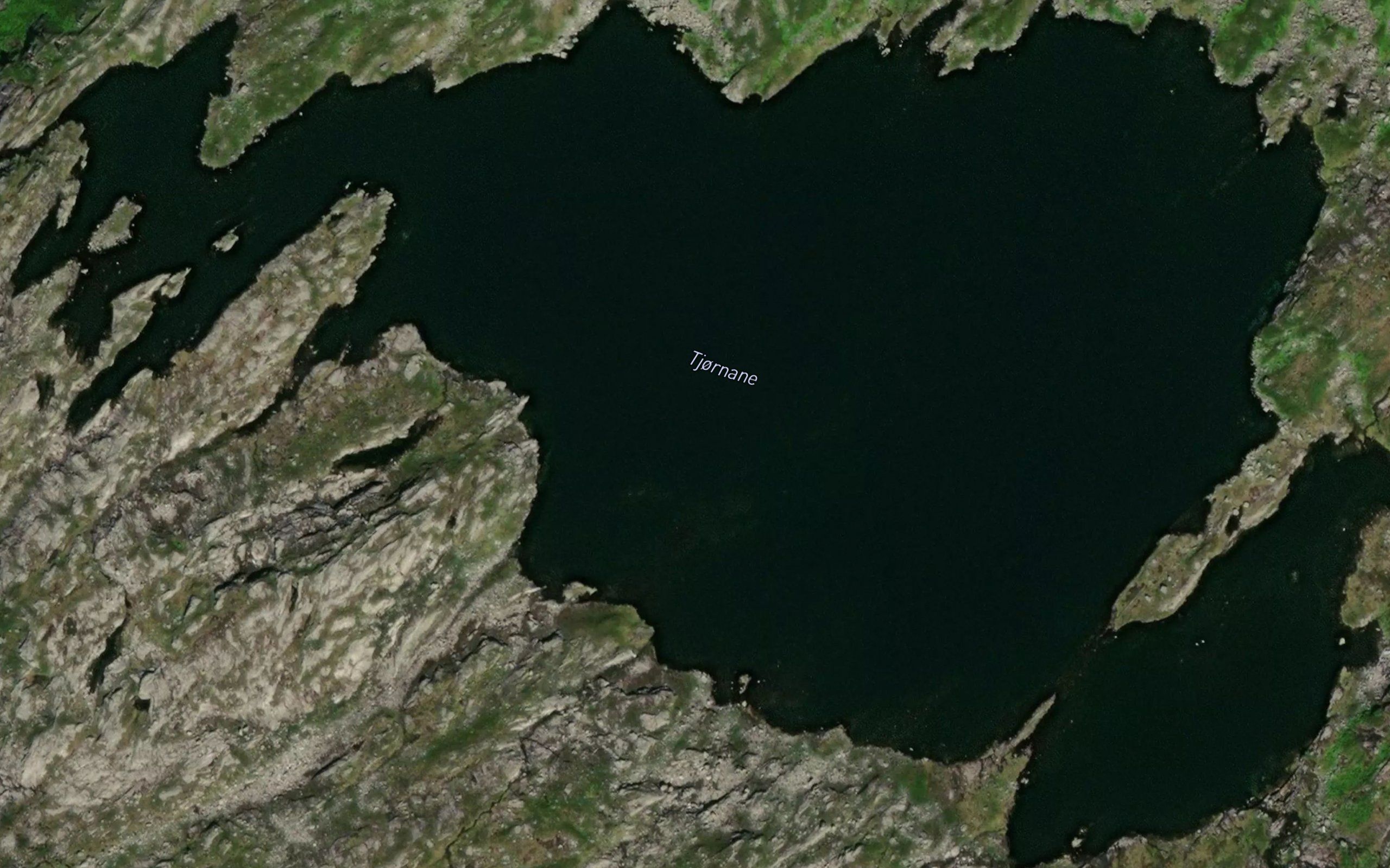 Tjornane