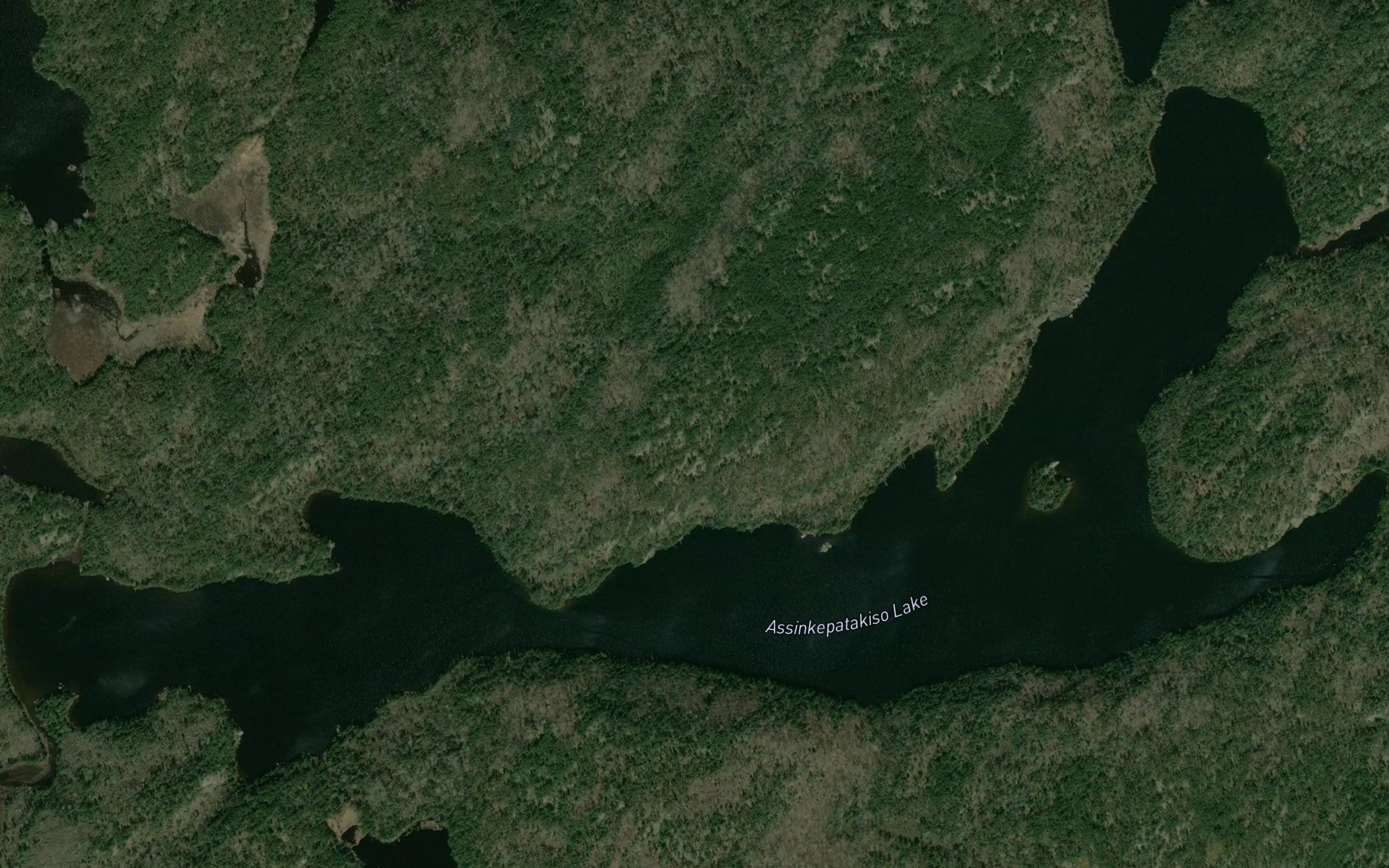 Assinkepatakiso Lake