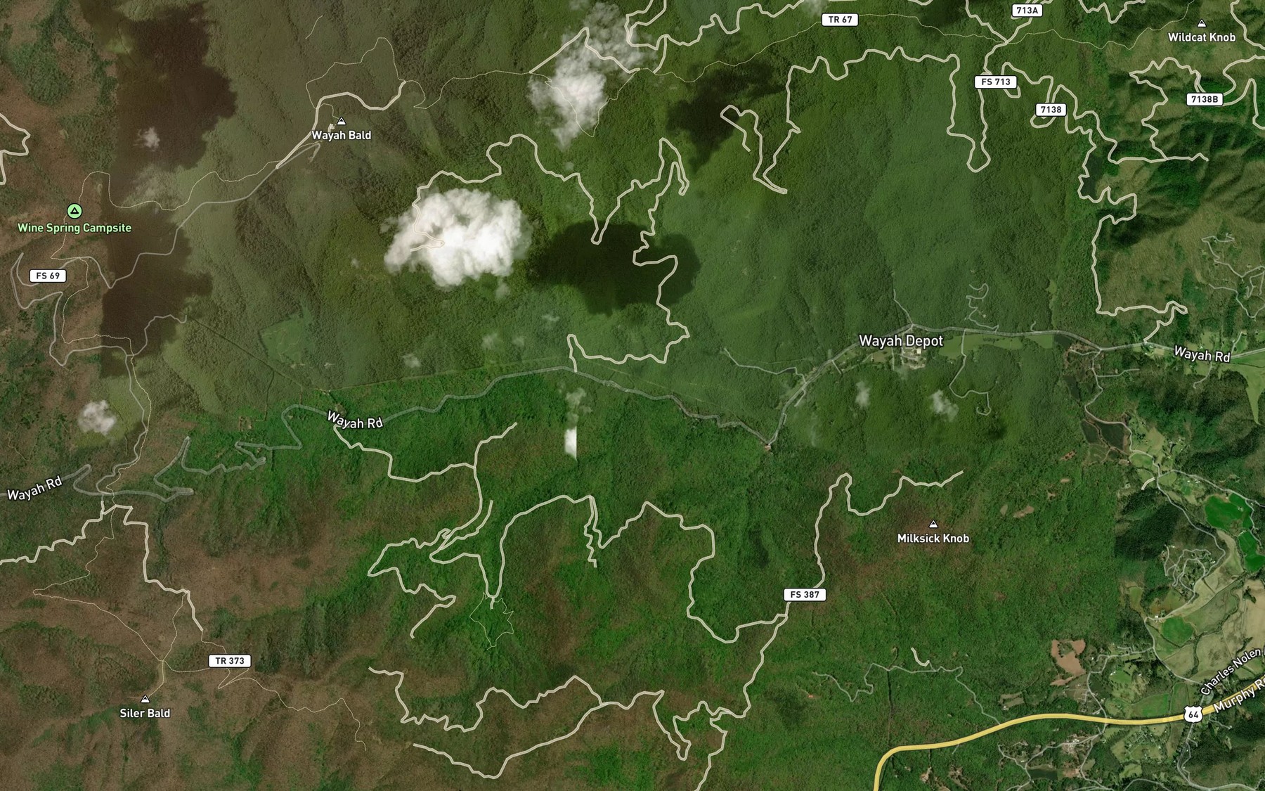 Satellite map of the Rough Fork