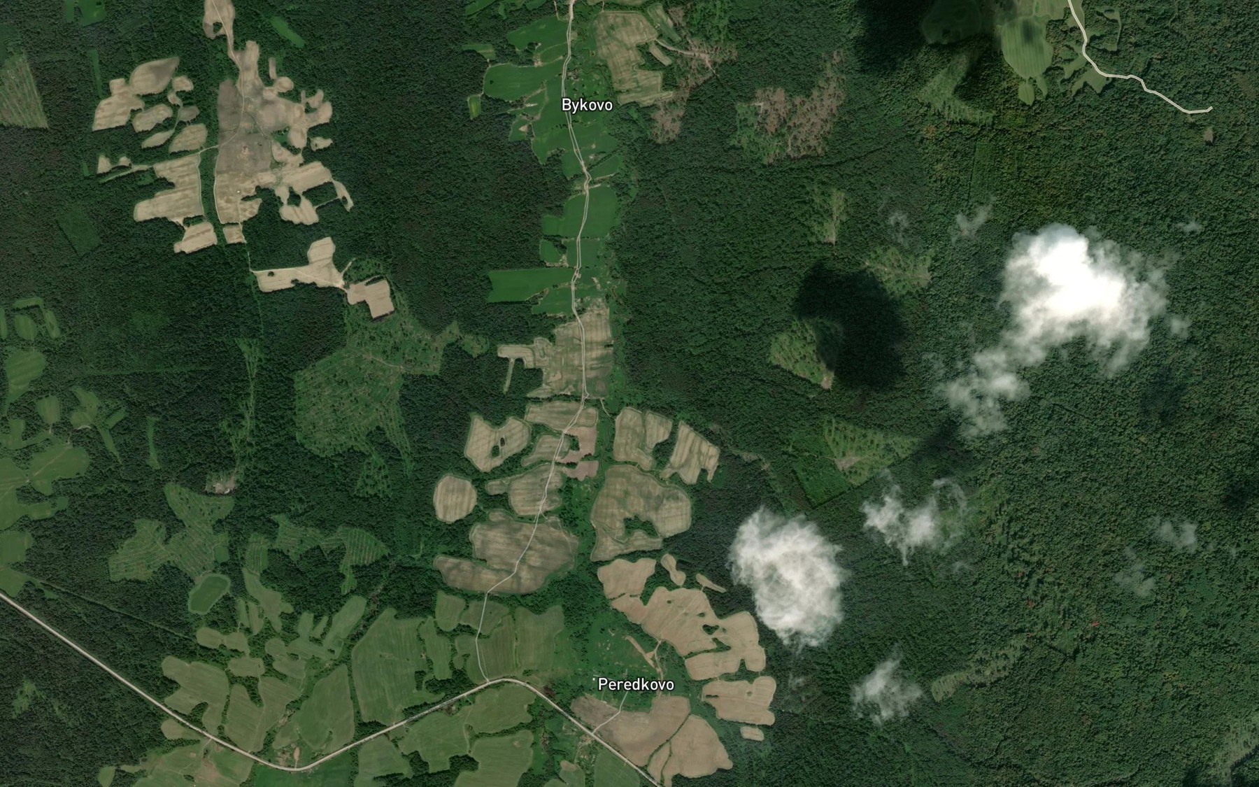 Satellite map of the Noginka