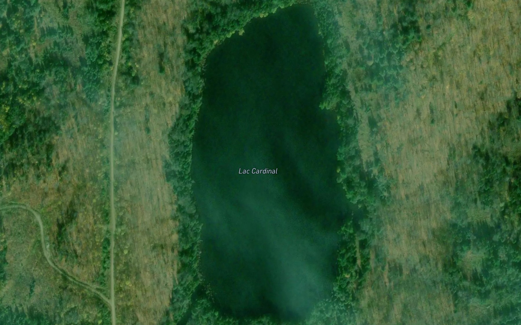 Satellite map of the Lac Cardinal