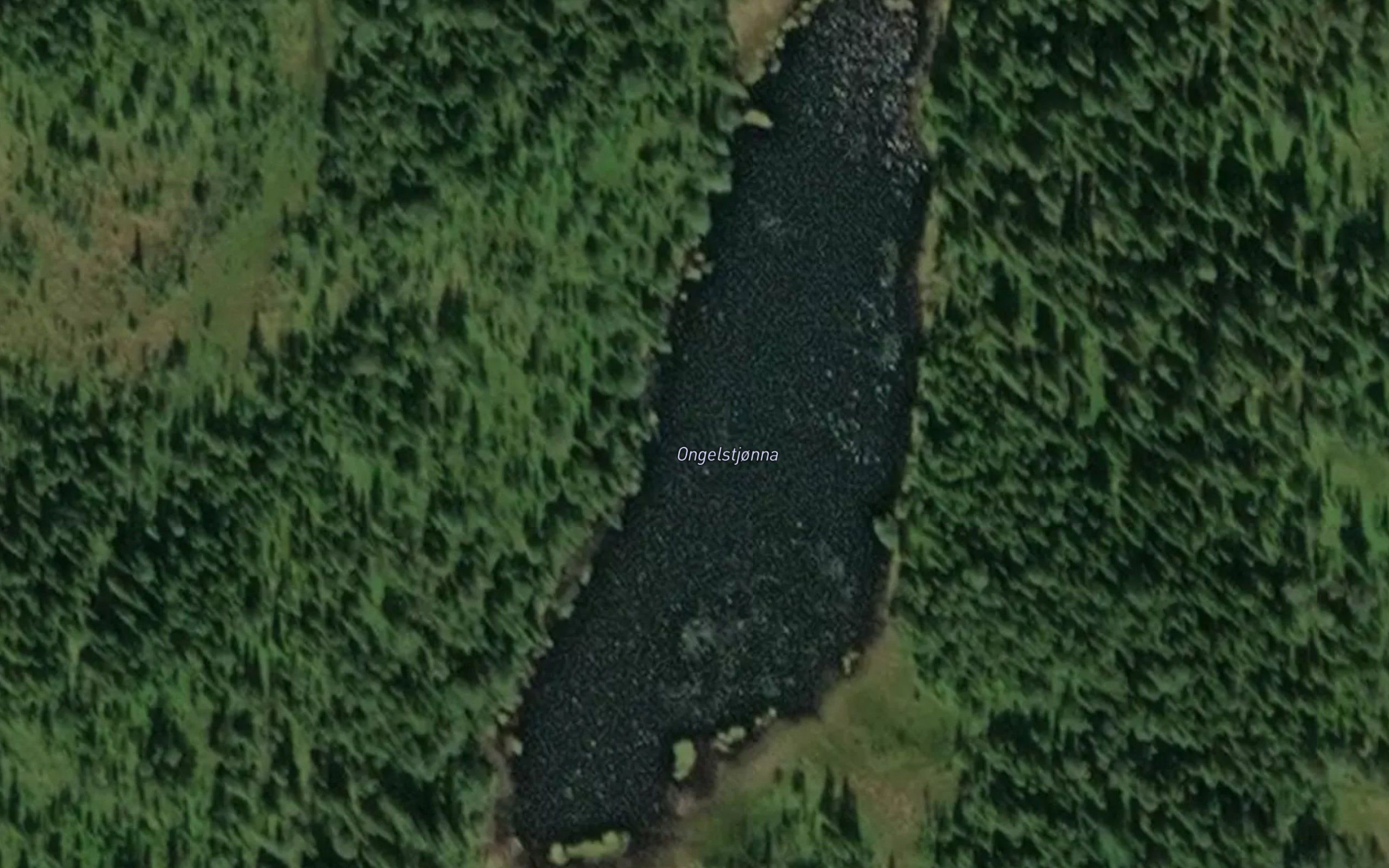 Ongeltjorna