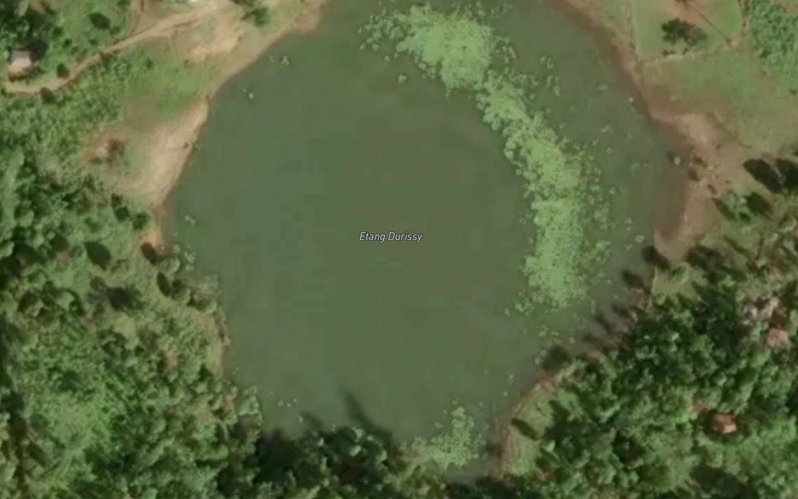 Etang Durissy