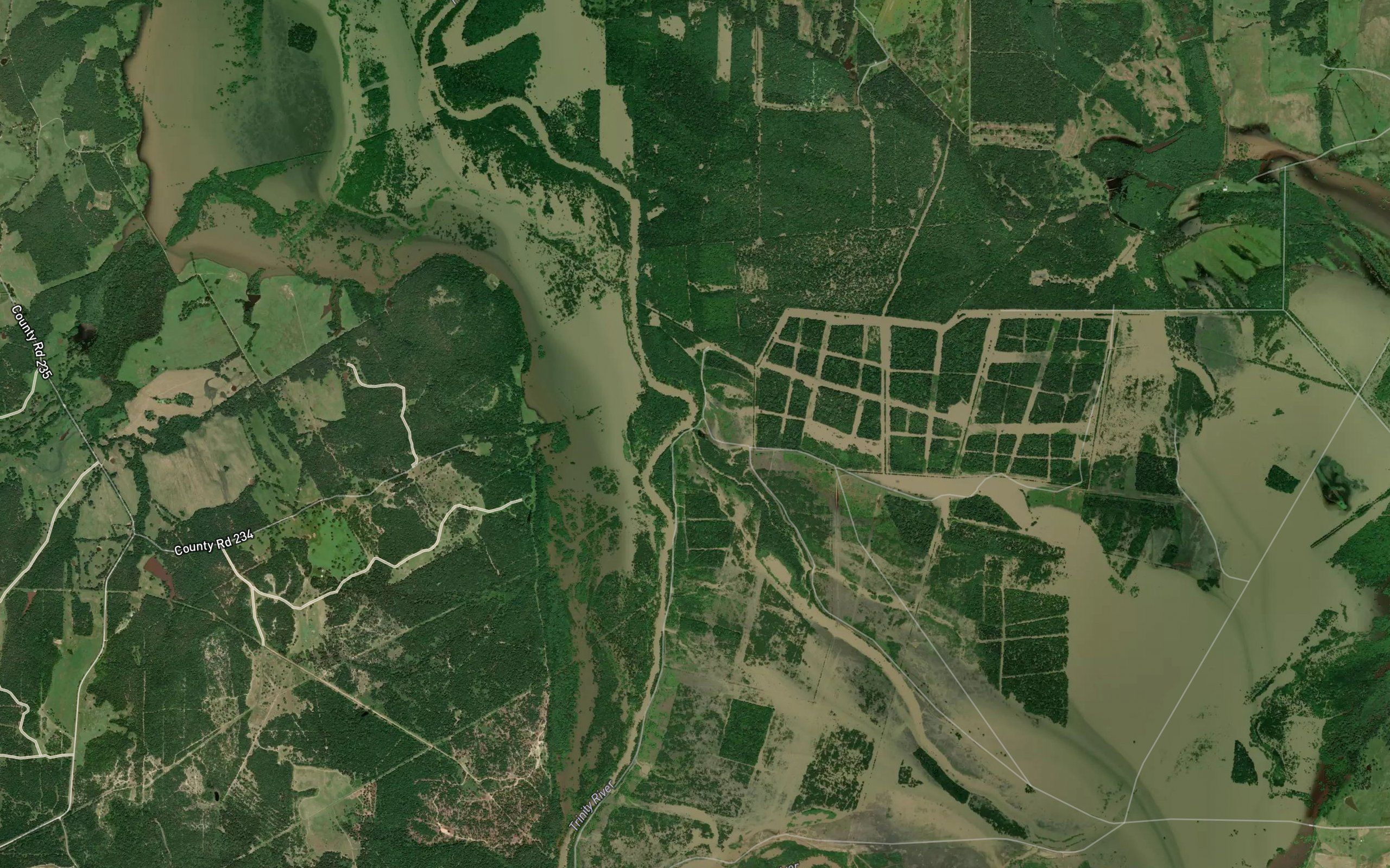 Alligator Slough