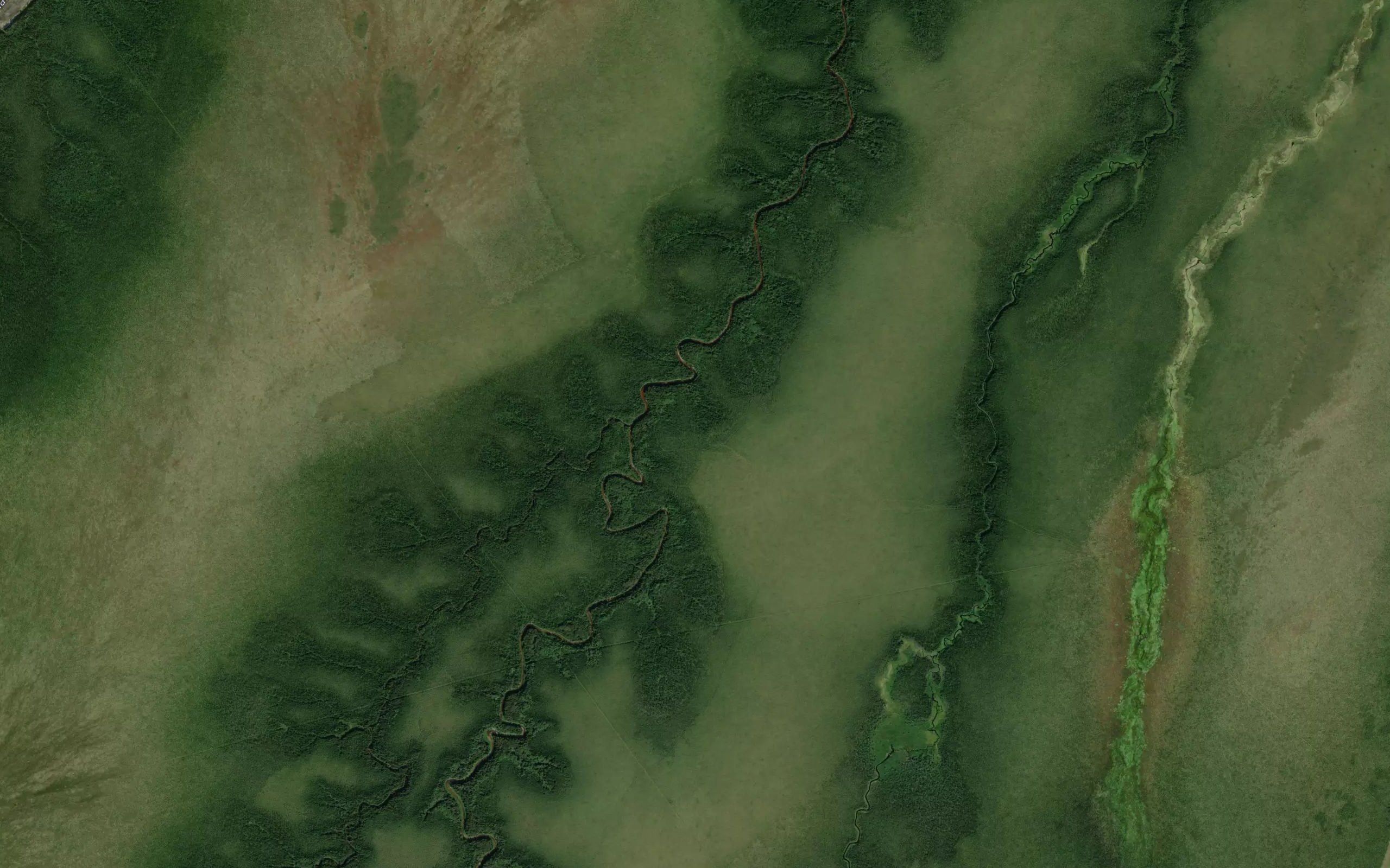 Hogg Creek