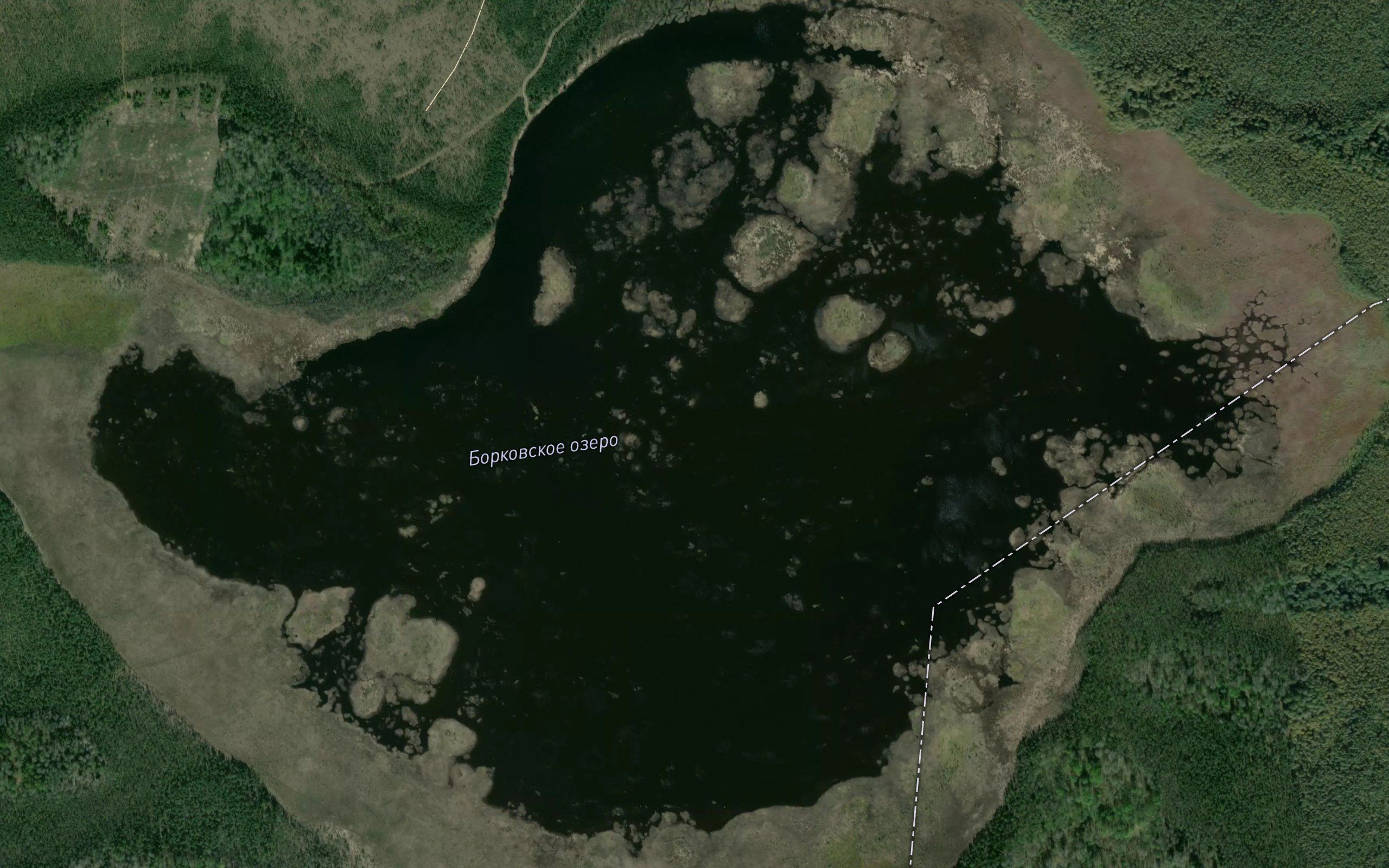 Ozero Borkovskoye