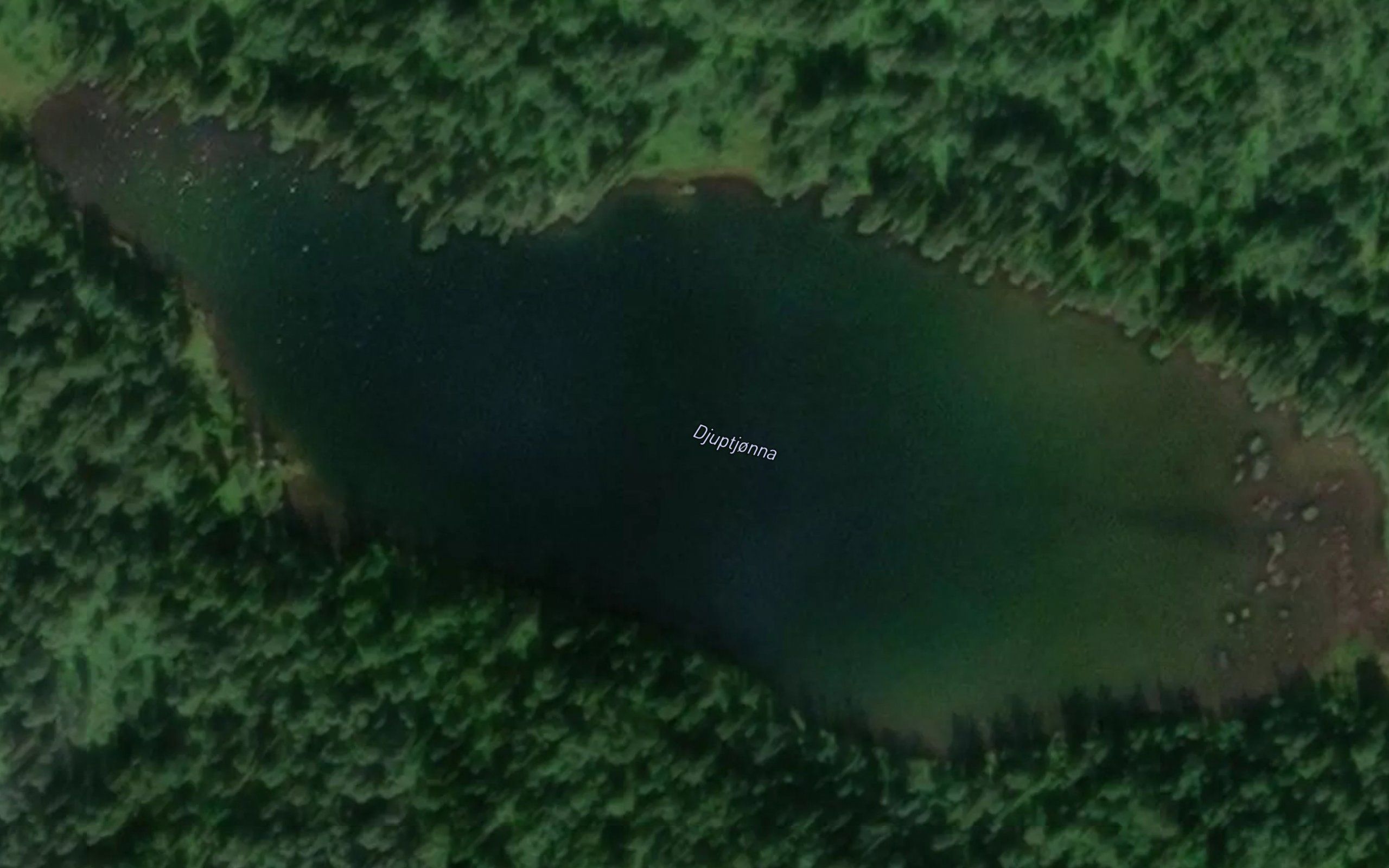 Djuptjonna