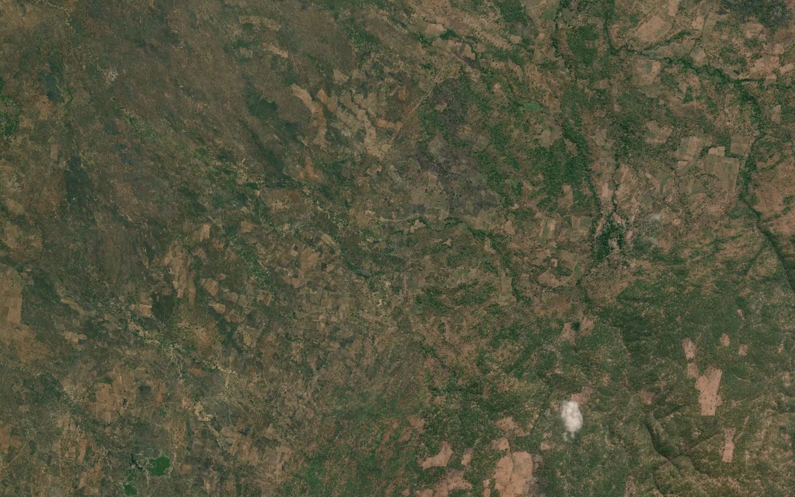 Ngwambo