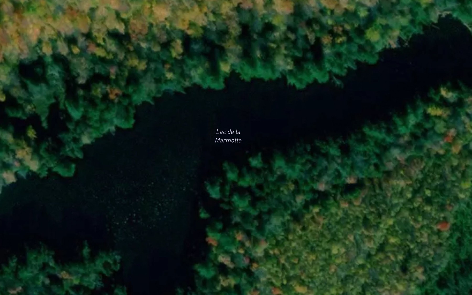 Satellite map of the Lac de la Marmotte