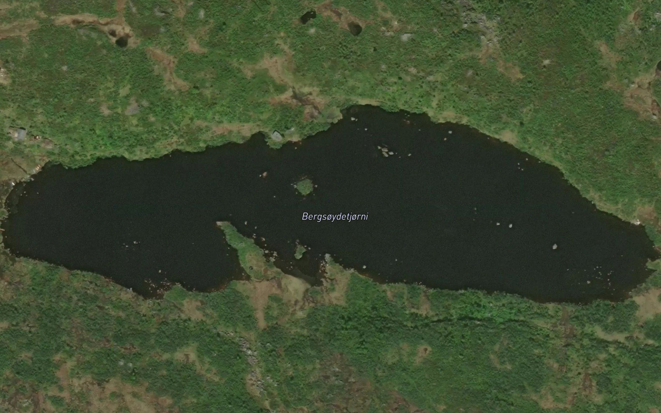 Bergsoydetjorni