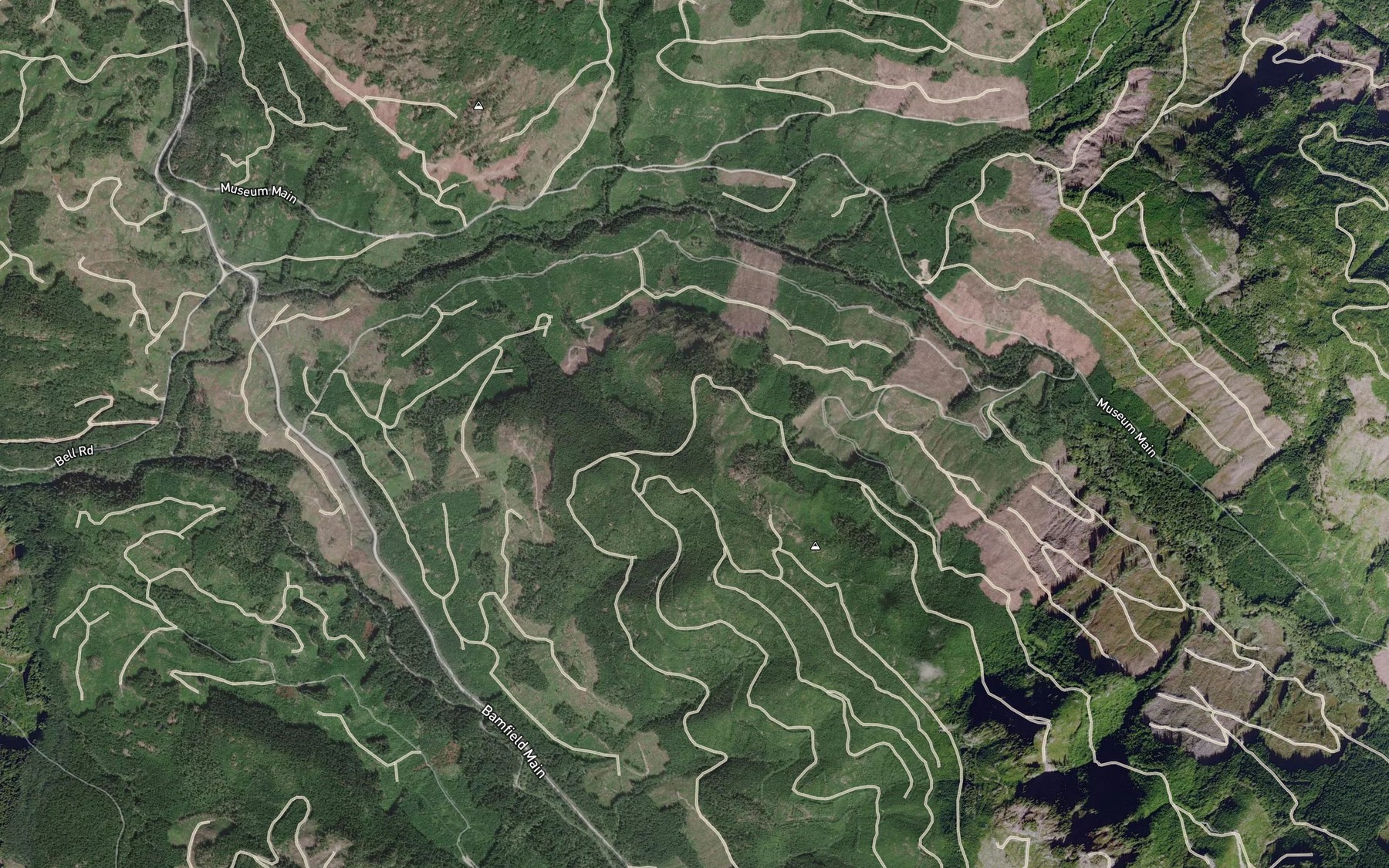 Satellite map of the Museum Creek