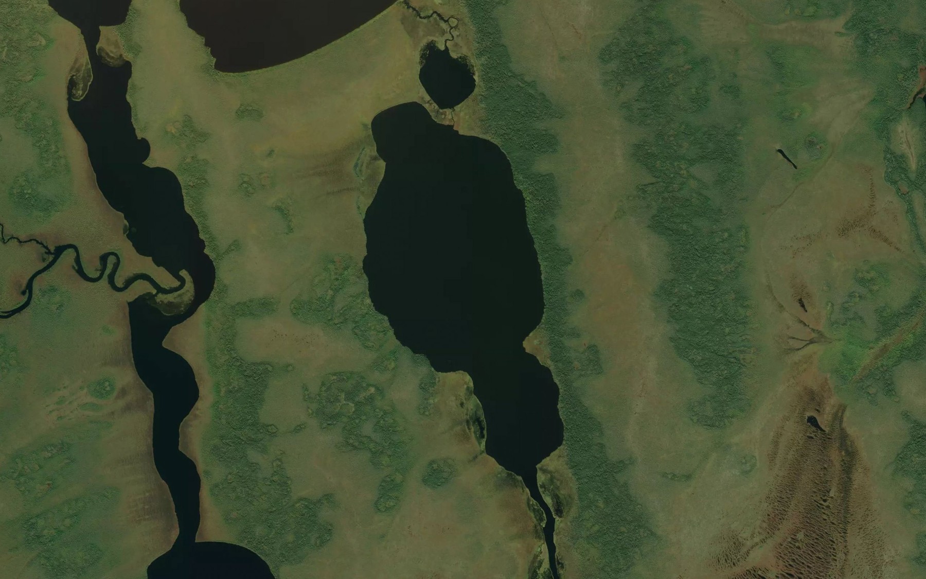 Satellite map of the Grimmon Lake