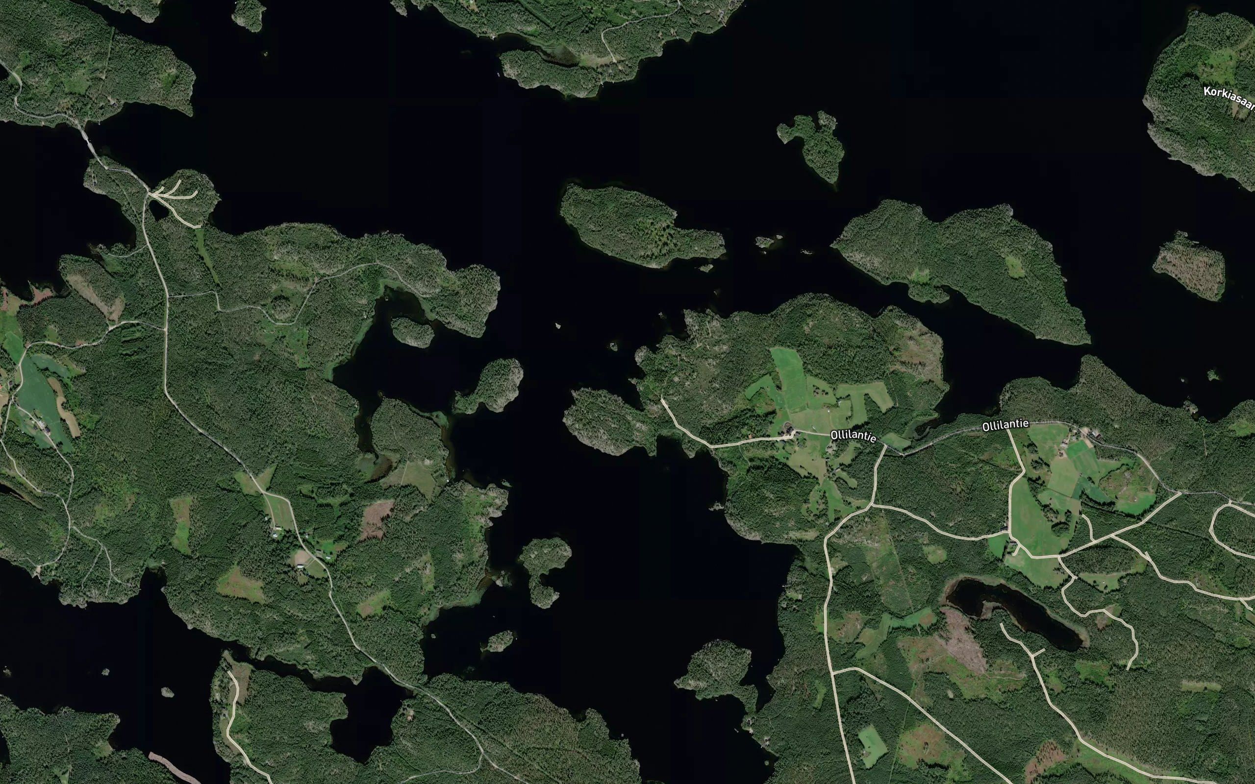 Pitkalahti