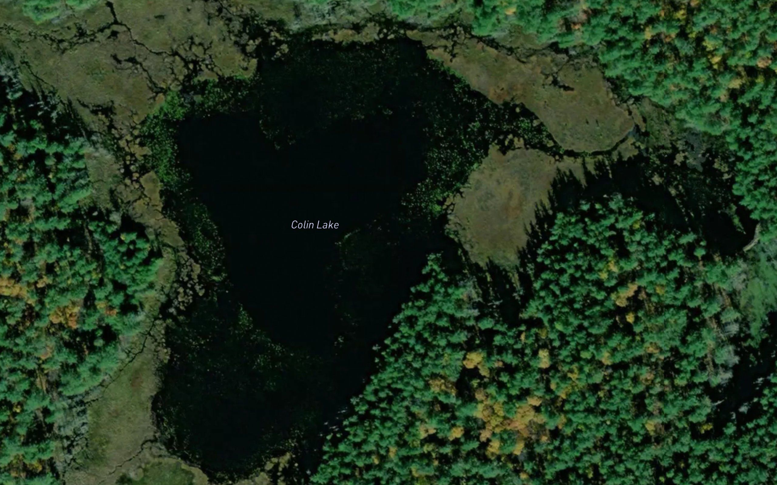 Colin Lake