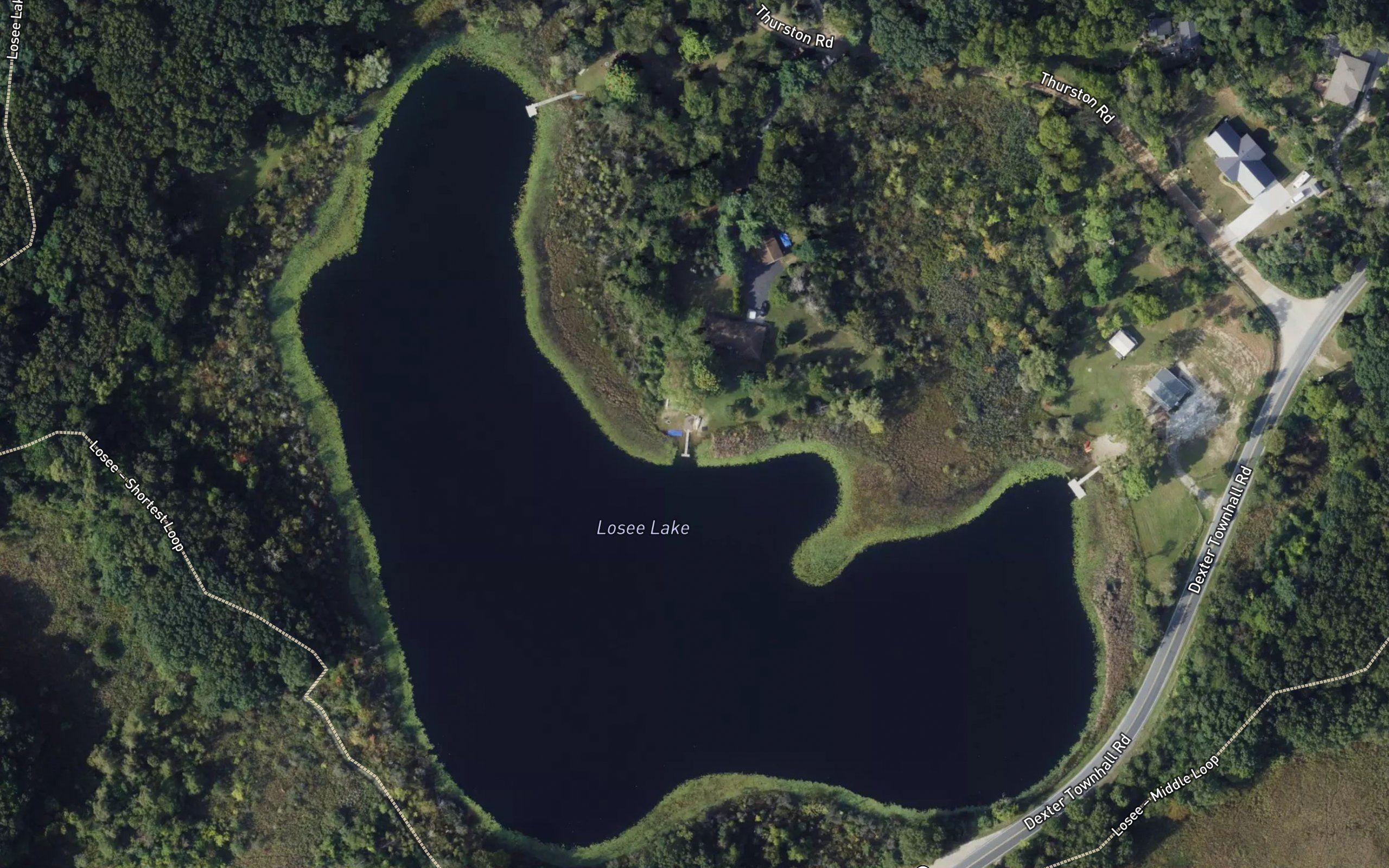 Losee Lake