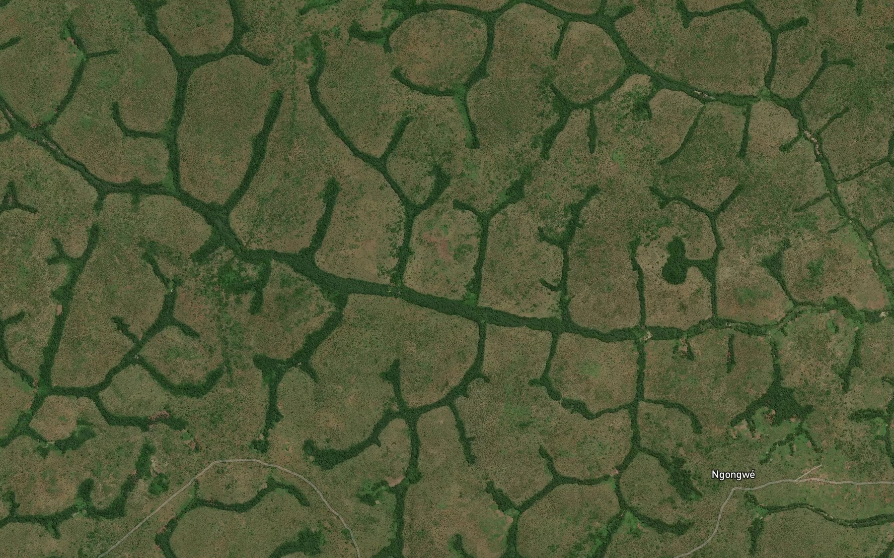 Satellite map of the Lizilo
