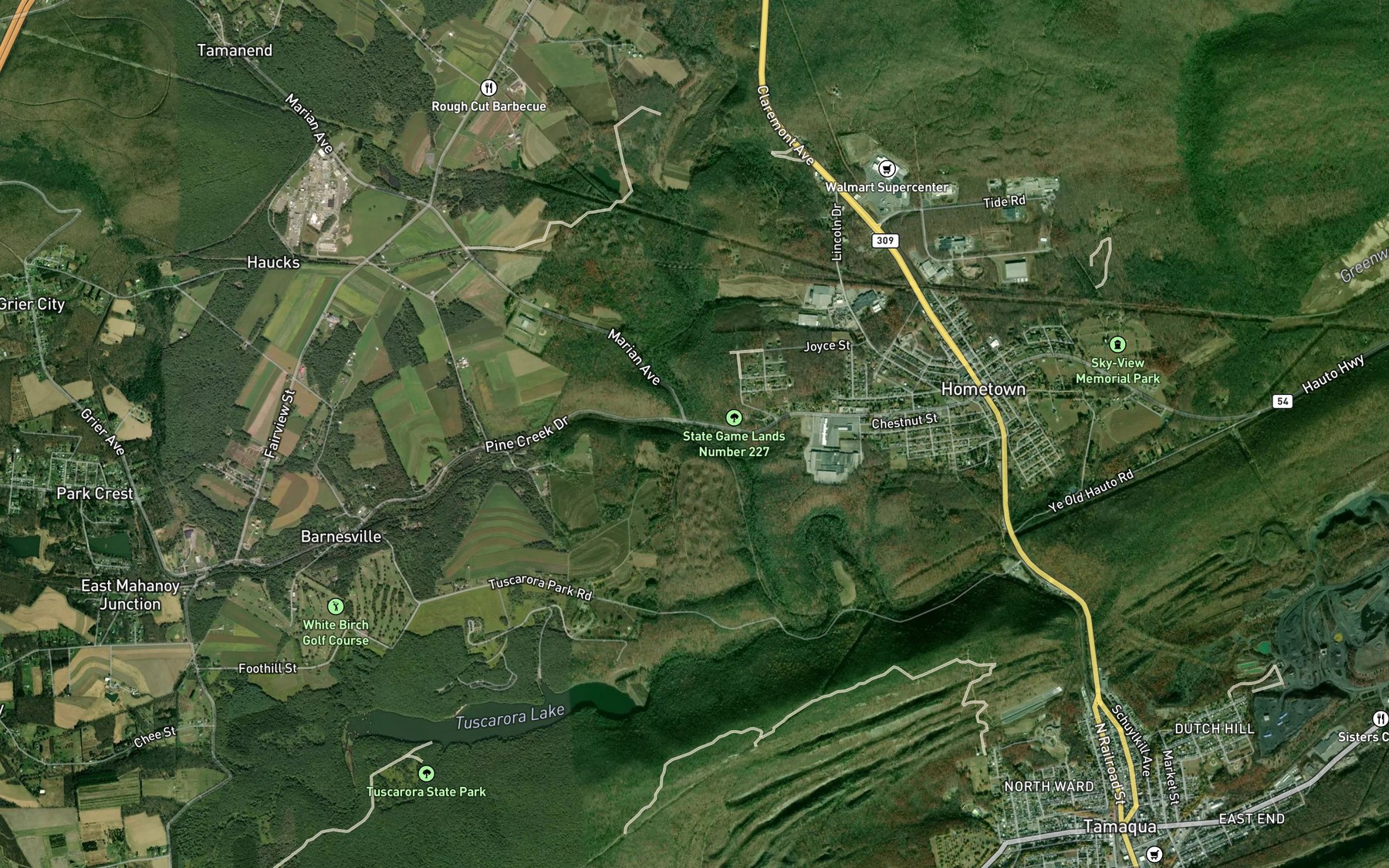 Satellite map of the Pine Creek