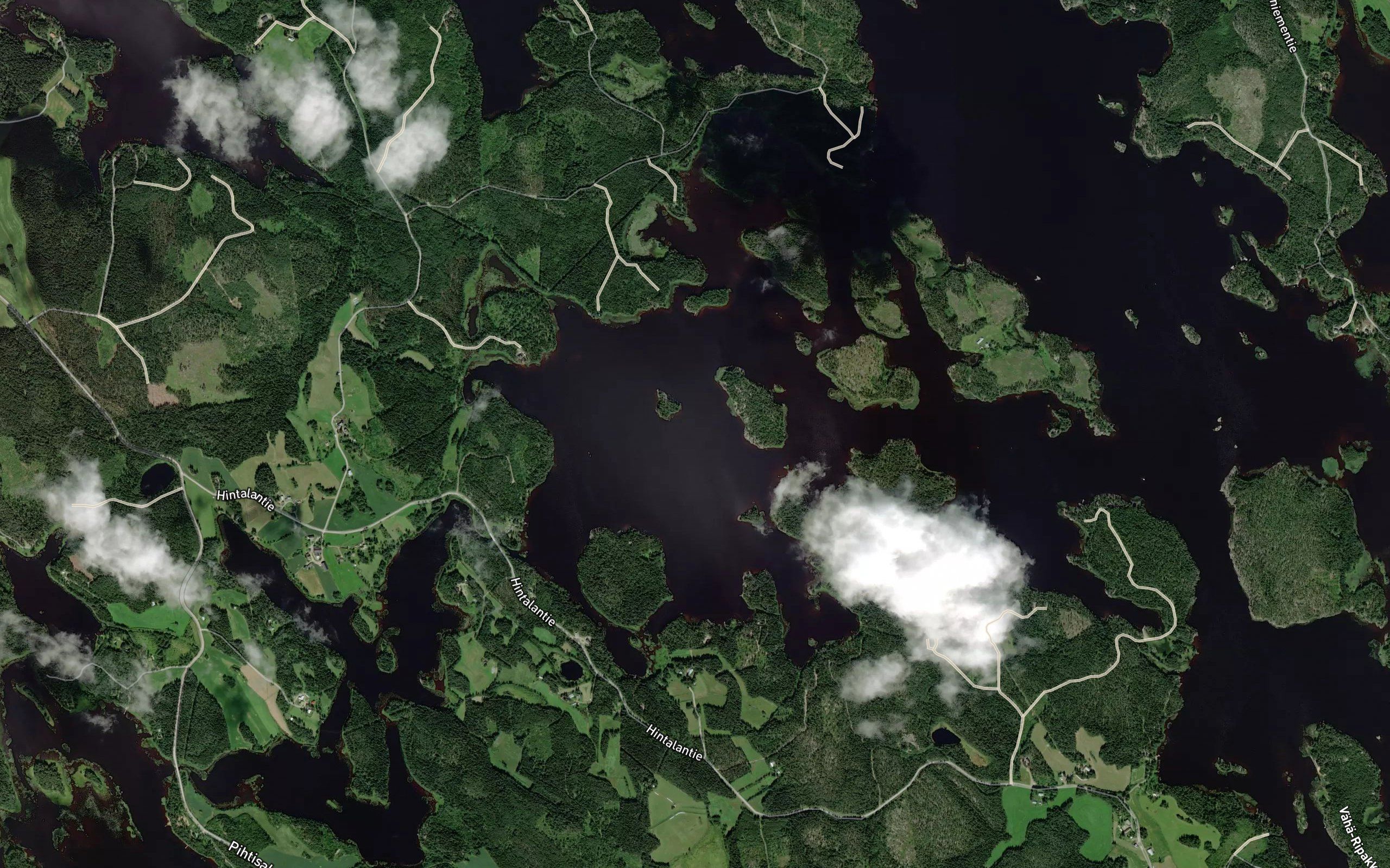 Salmenselka